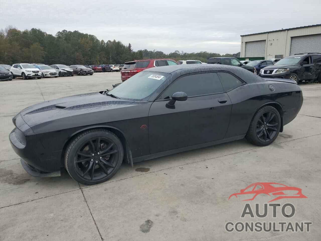 DODGE CHALLENGER 2017 - 2C3CDZAG2HH665950