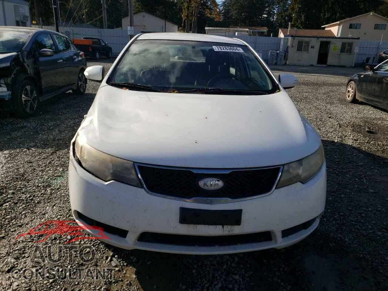 KIA FORTE 2010 - KNAFU4A28A5166676