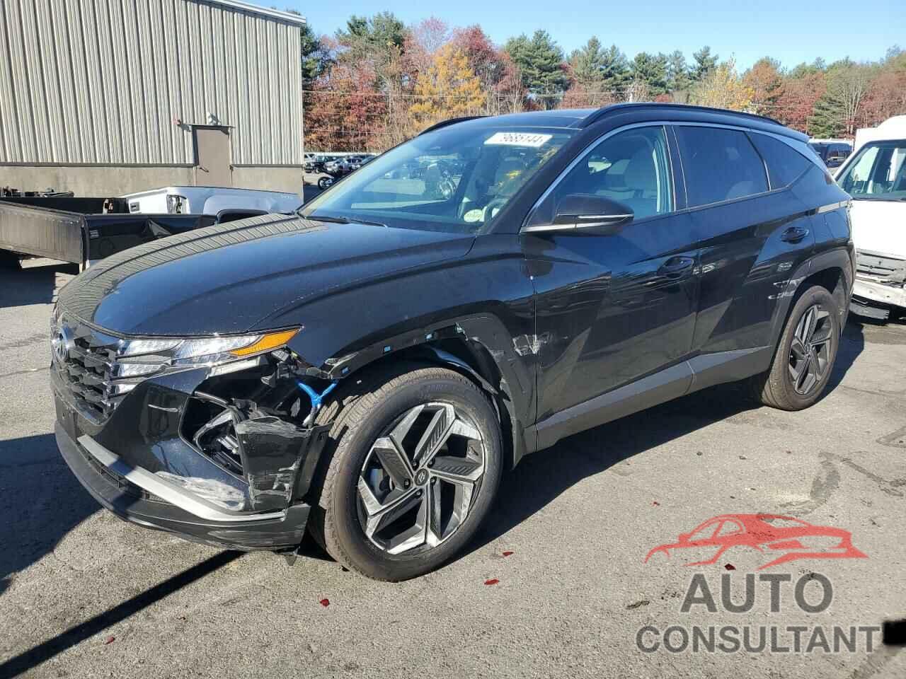 HYUNDAI TUCSON 2024 - KM8JCCD12RU201853