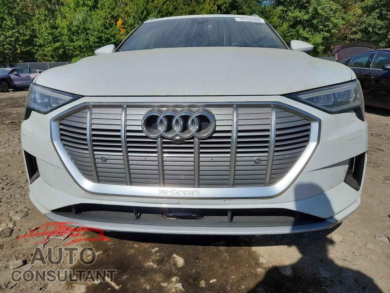 AUDI E-TRON 2019 - WA1LABGE6KB011996