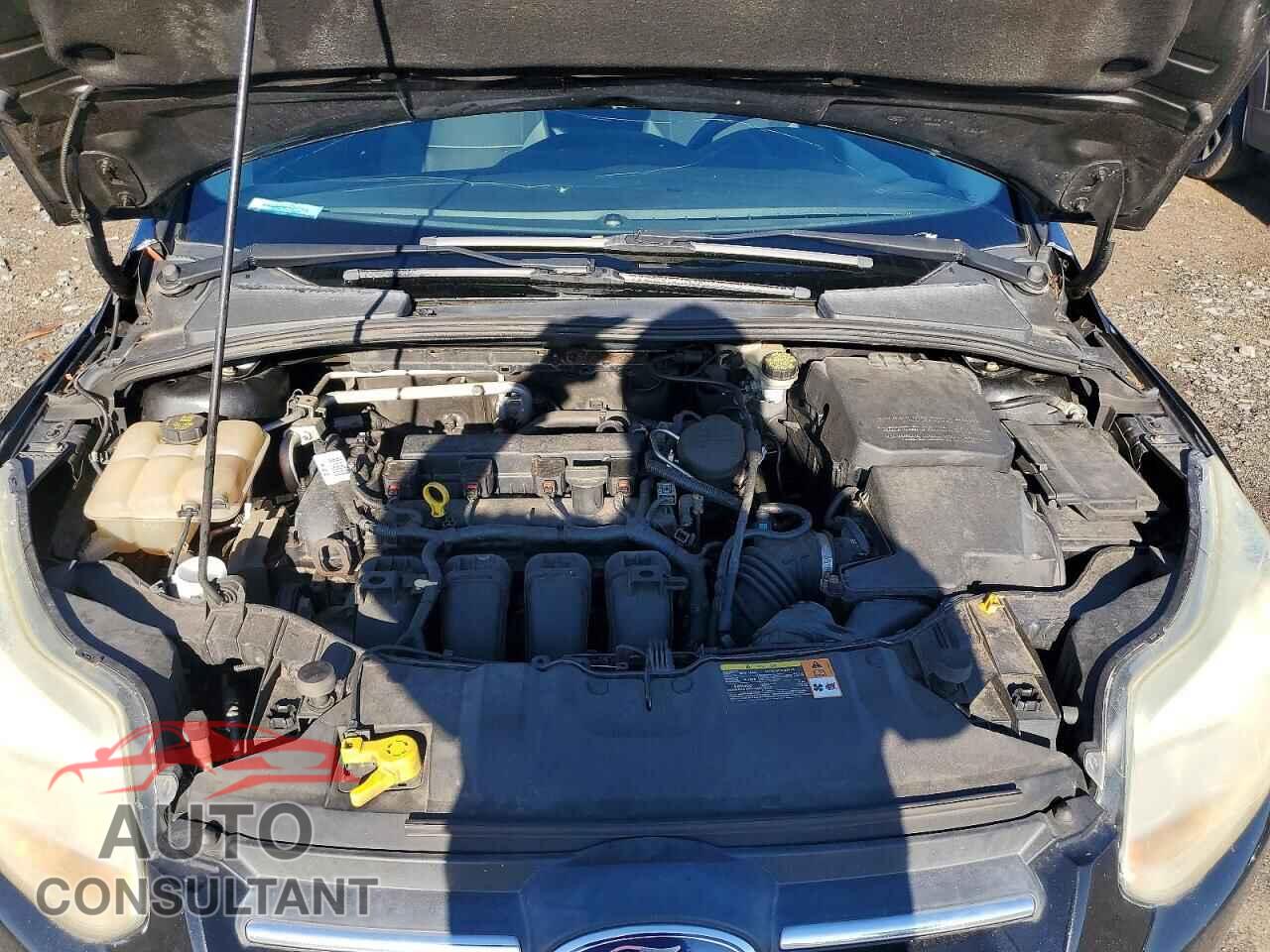 FORD FOCUS 2014 - 1FADP3E29EL124501