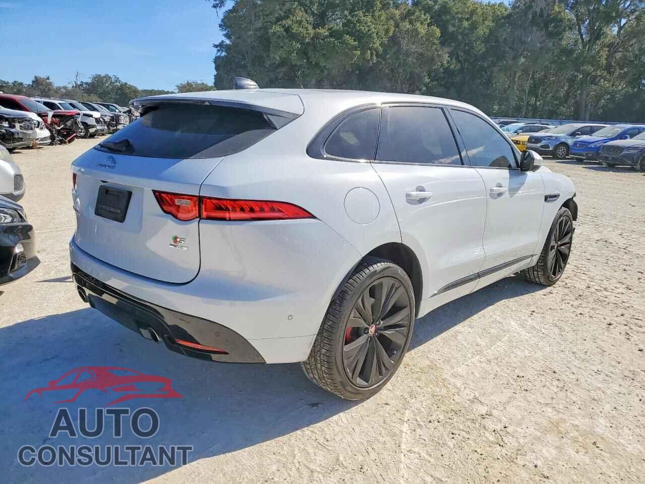 JAGUAR F-PACE 2020 - SADCM2FV5LA635024