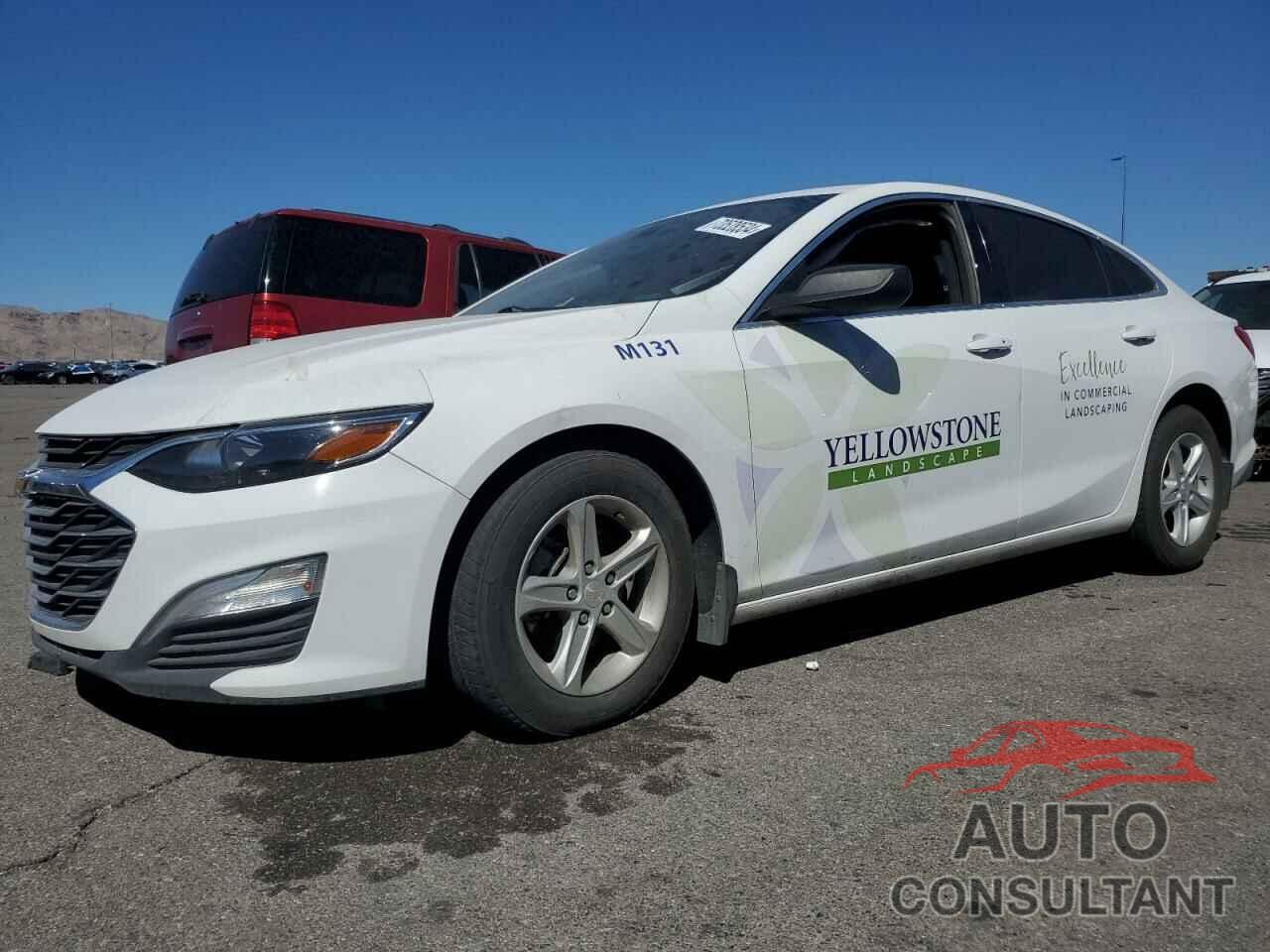 CHEVROLET MALIBU 2019 - 1G1ZB5ST8KF127884