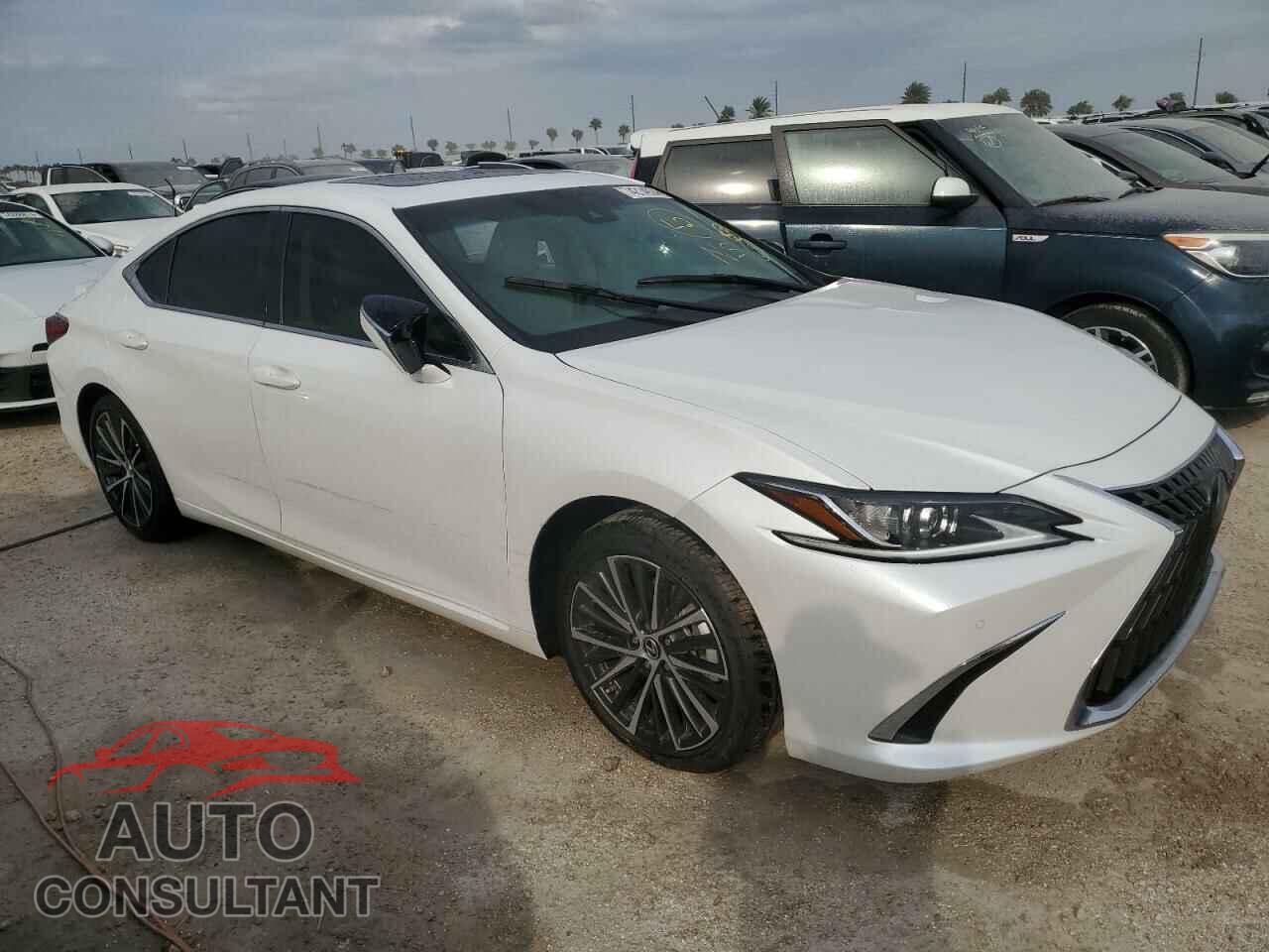 LEXUS ES300 2024 - 58ADA1C19RU052133