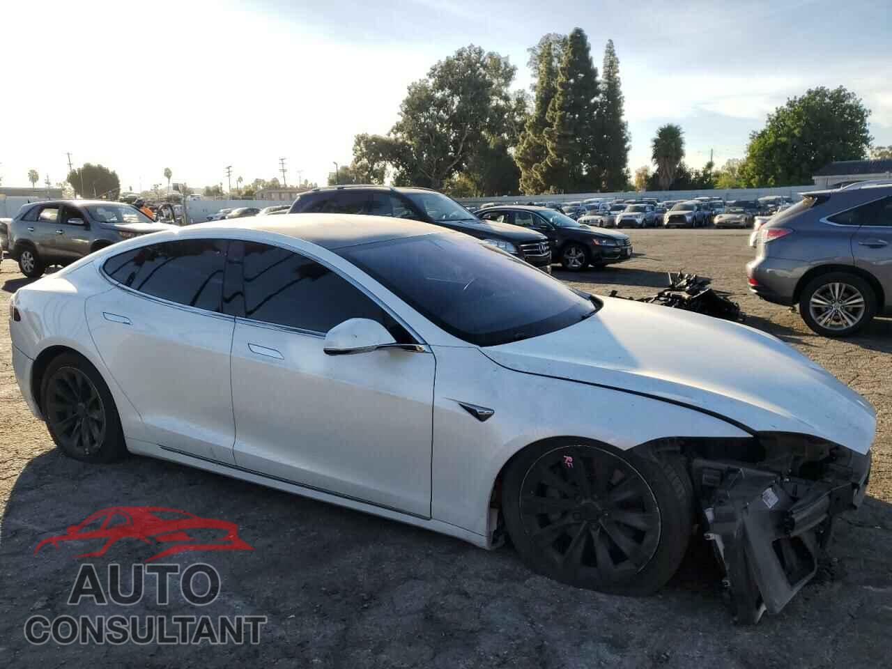 TESLA MODEL S 2019 - 5YJSA1E2XKF339181