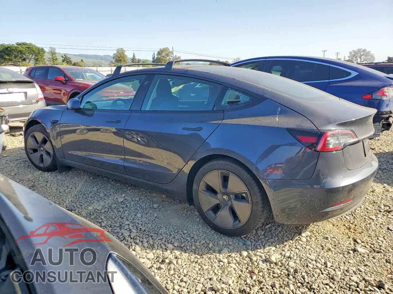 TESLA MODEL 3 2021 - 5YJ3E1EA6MF076464