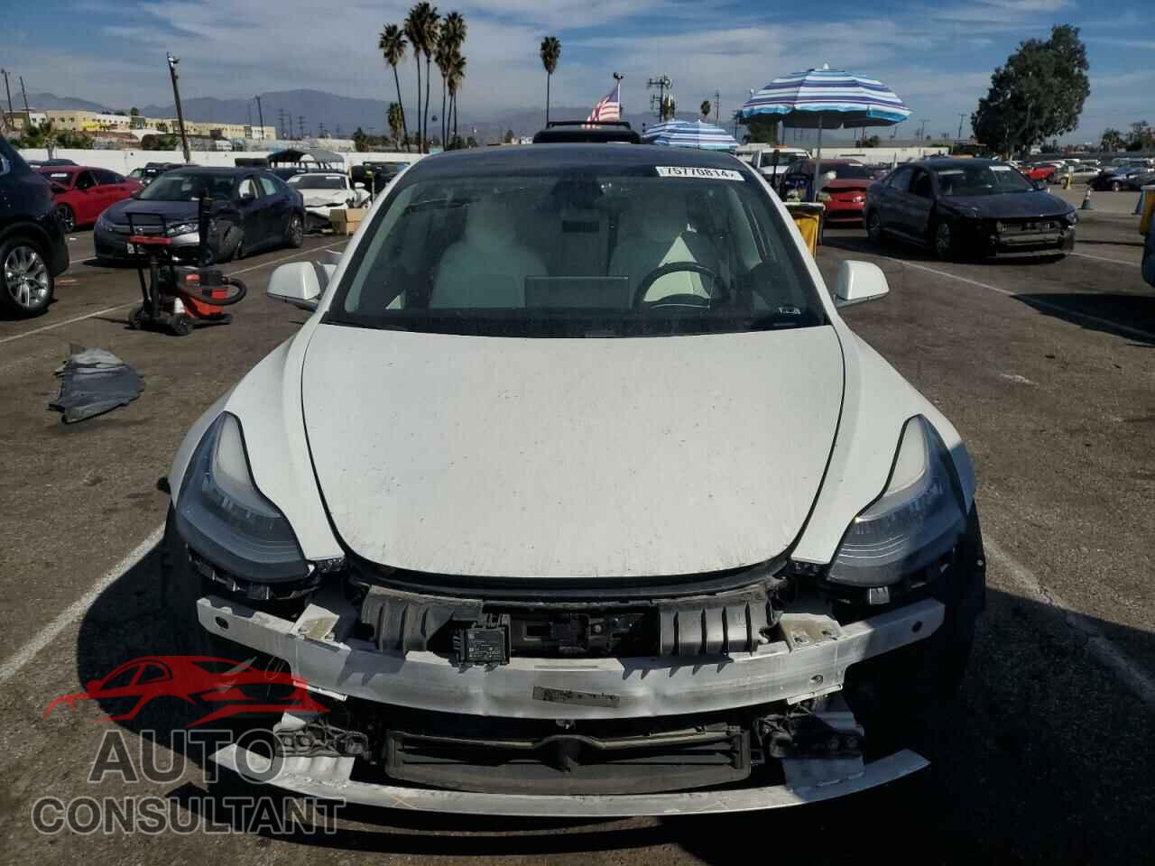 TESLA MODEL 3 2019 - 5YJ3E1EB2KF454706