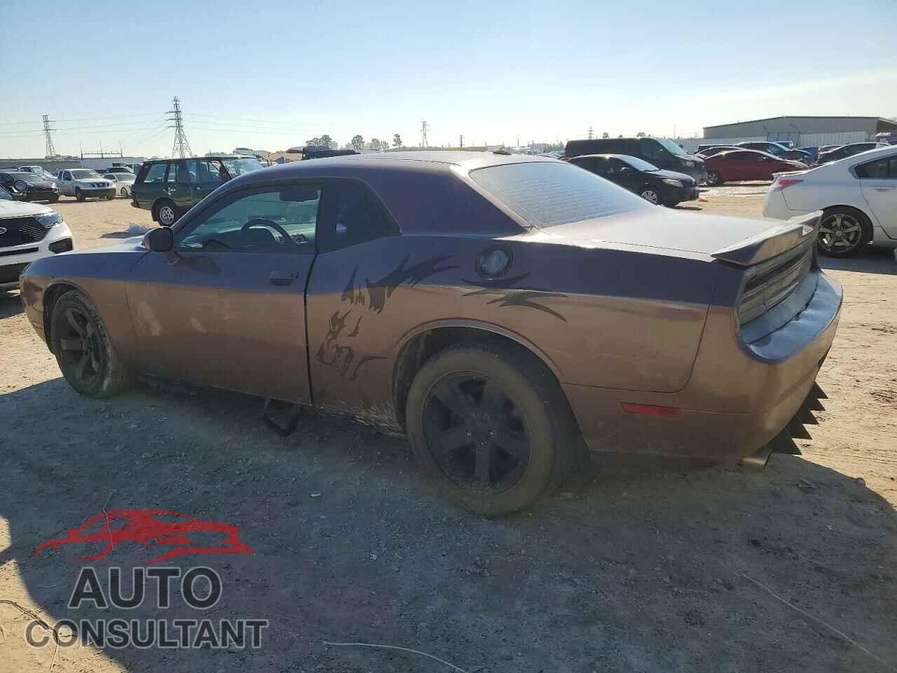 DODGE CHALLENGER 2013 - 2C3CDYAG0DH723851