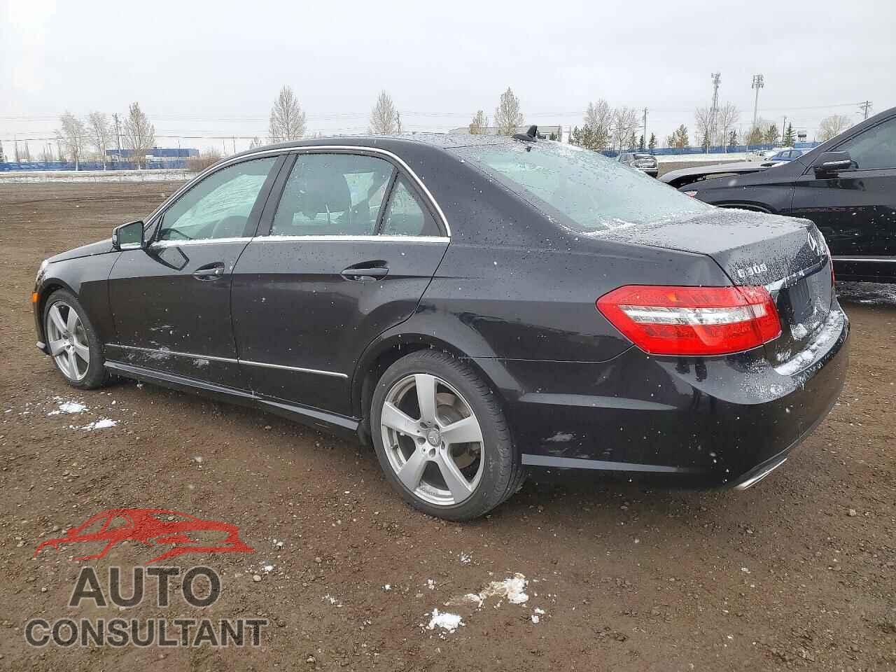 MERCEDES-BENZ E-CLASS 2013 - WDDHF8BB8DA766451