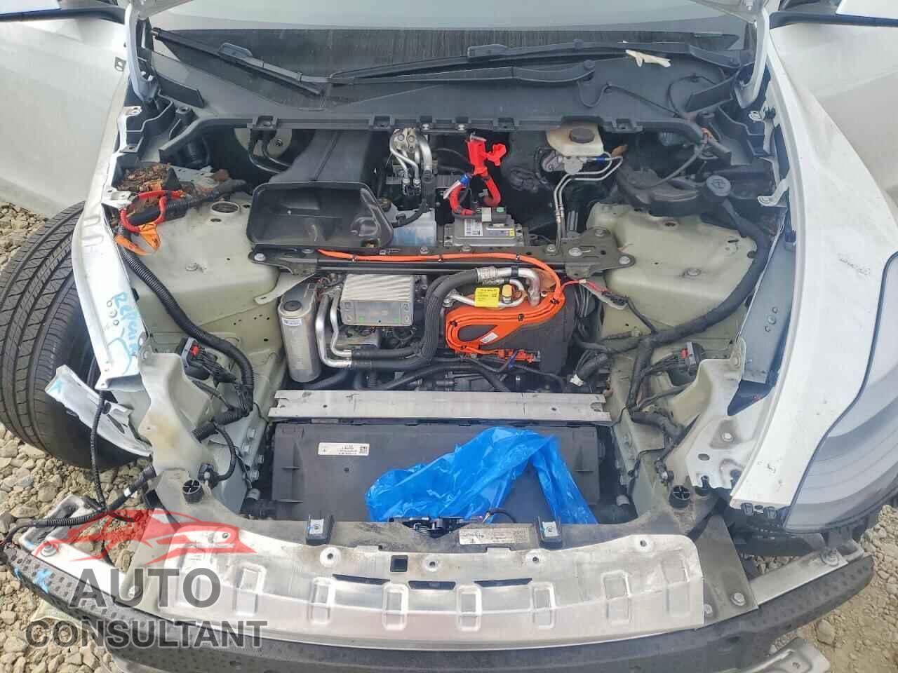 TESLA MODEL Y 2022 - 7SAYGDEE2NF544814