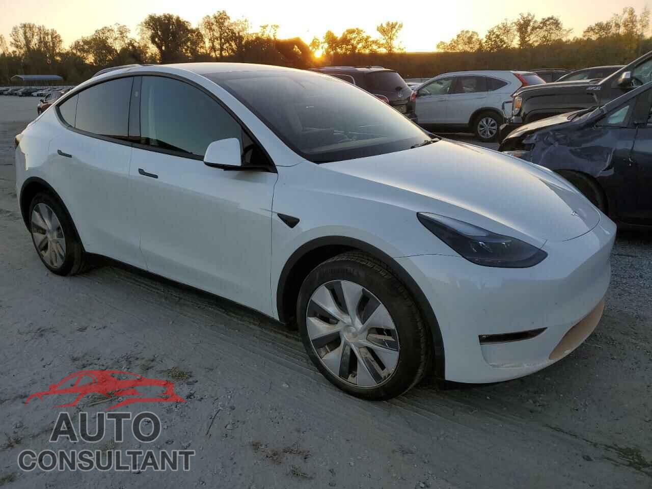 TESLA MODEL Y 2024 - 7SAYGAEE7RF091388