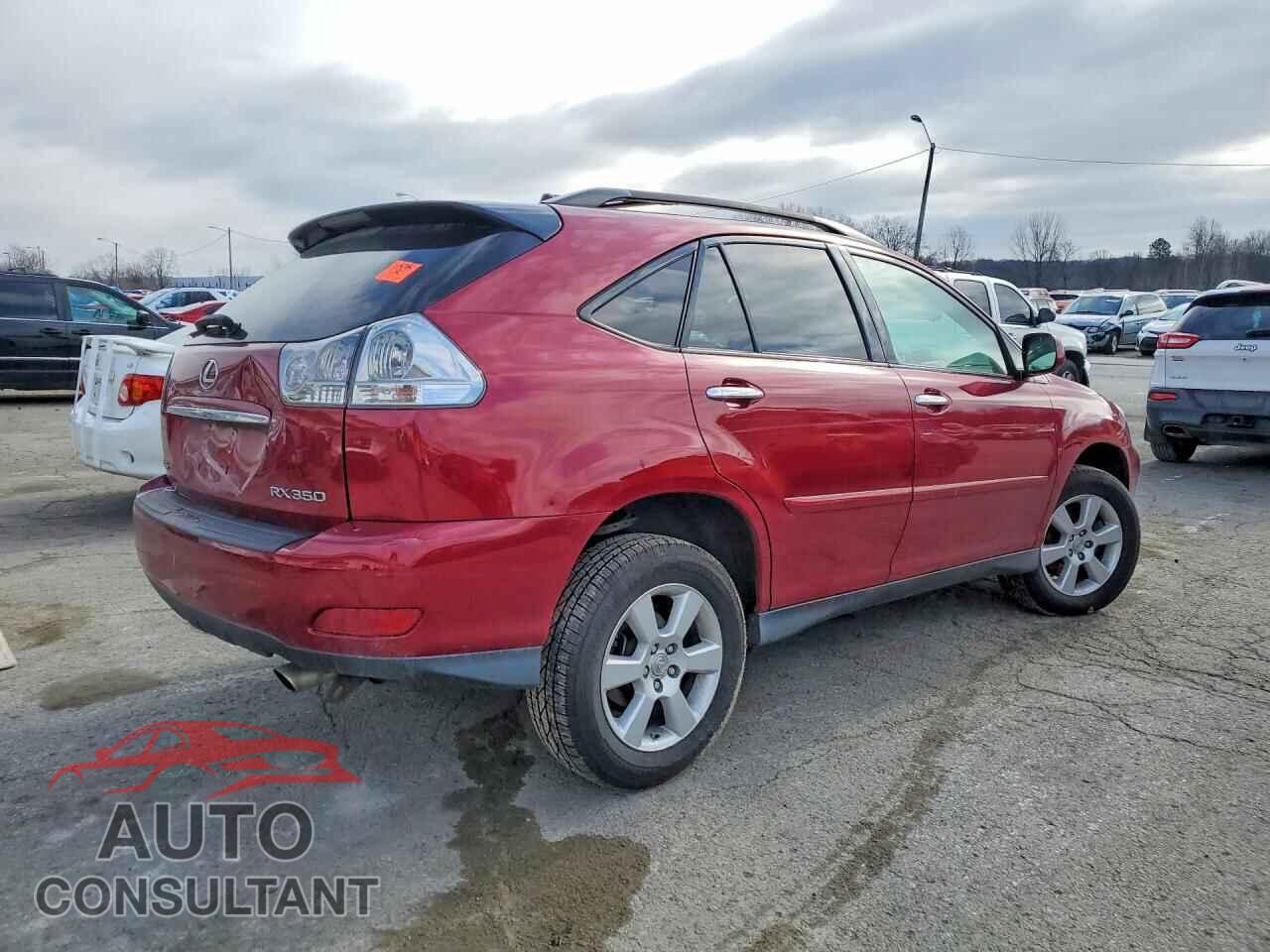 LEXUS RX350 2009 - 2T2HK31U89C109952