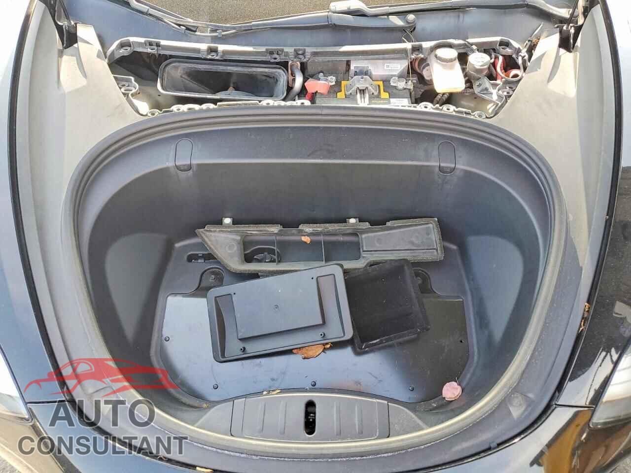 TESLA MODEL 3 2019 - 5YJ3E1EA3KF316745