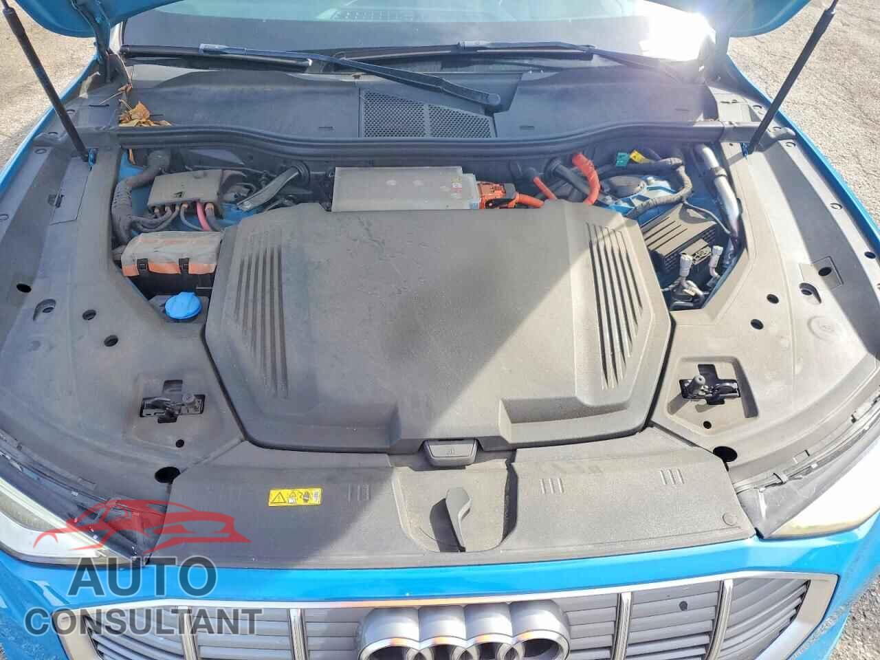 AUDI E-TRON 2019 - WA1VAAGE4KB012177