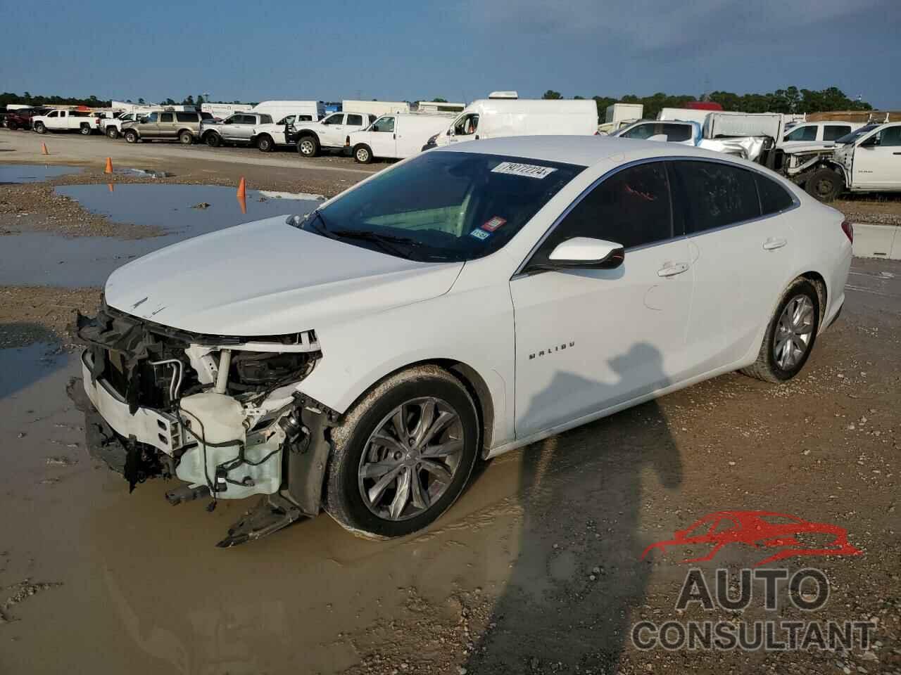 CHEVROLET MALIBU 2019 - 1G1ZD5ST7KF140040