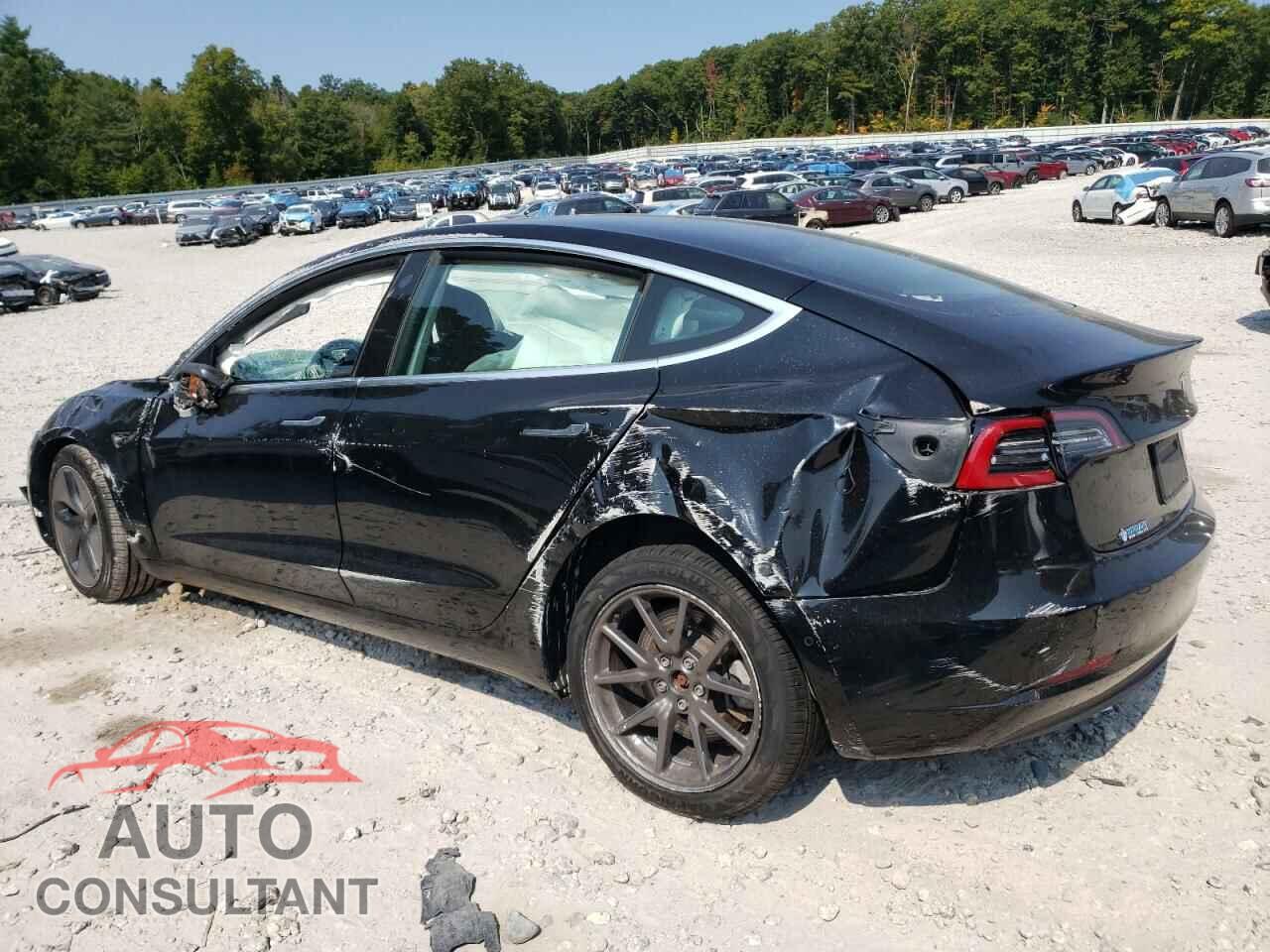TESLA MODEL 3 2020 - 5YJ3E1EBXLF802916