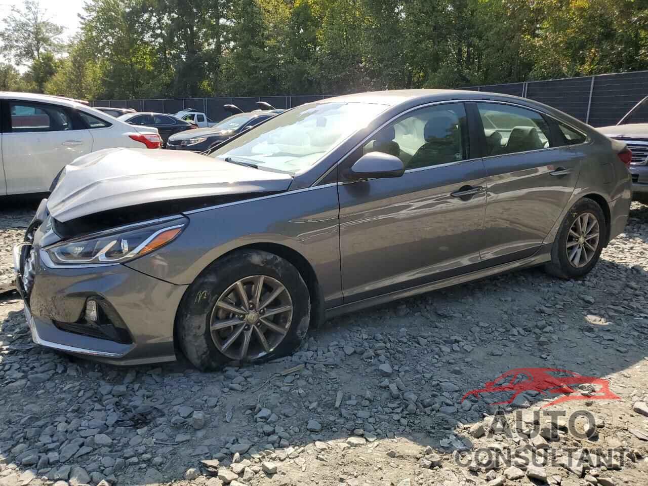 HYUNDAI SONATA 2019 - 5NPE24AF8KH809262