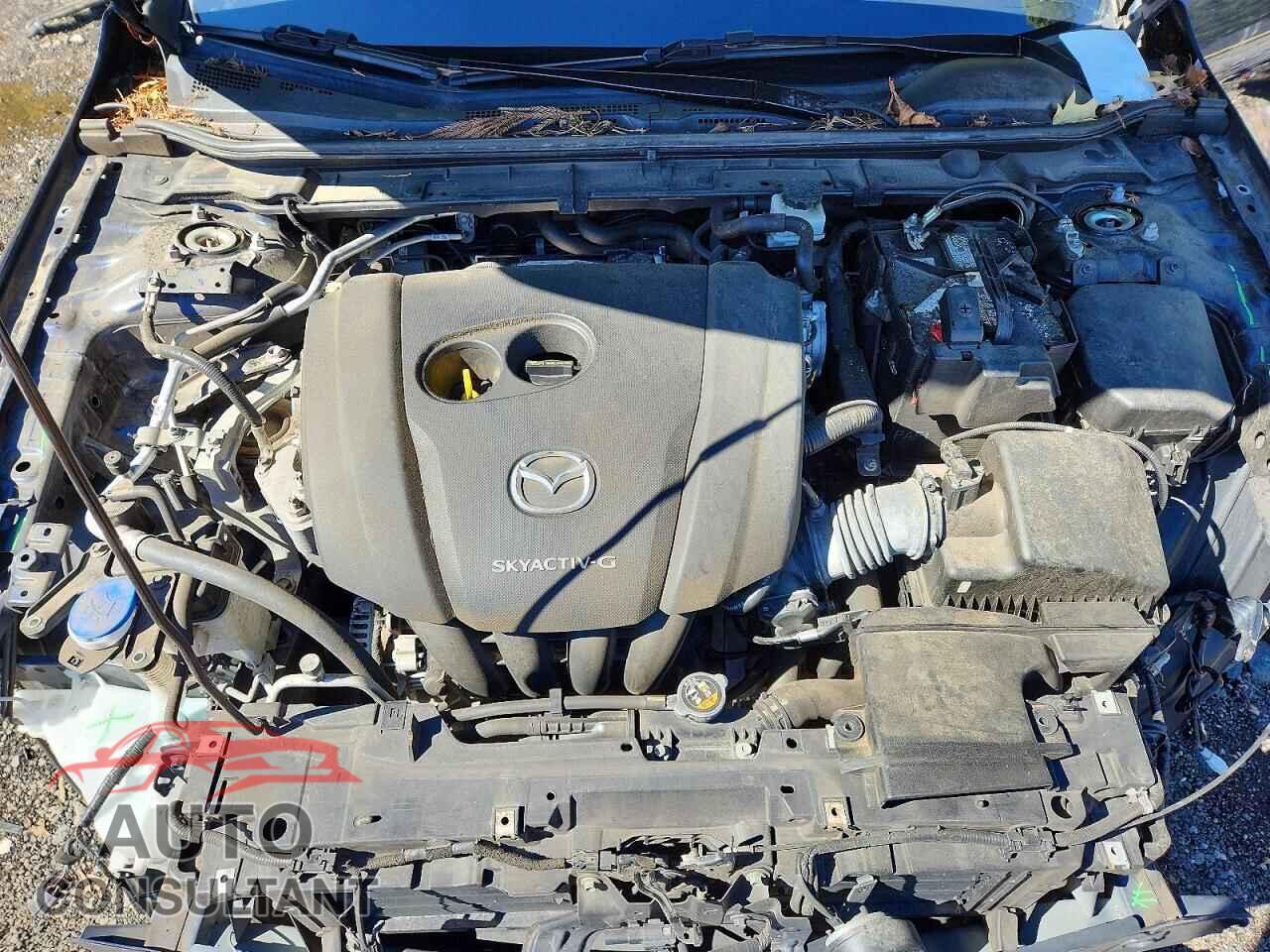 MAZDA 3 2019 - JM1BPAMM3K1118077