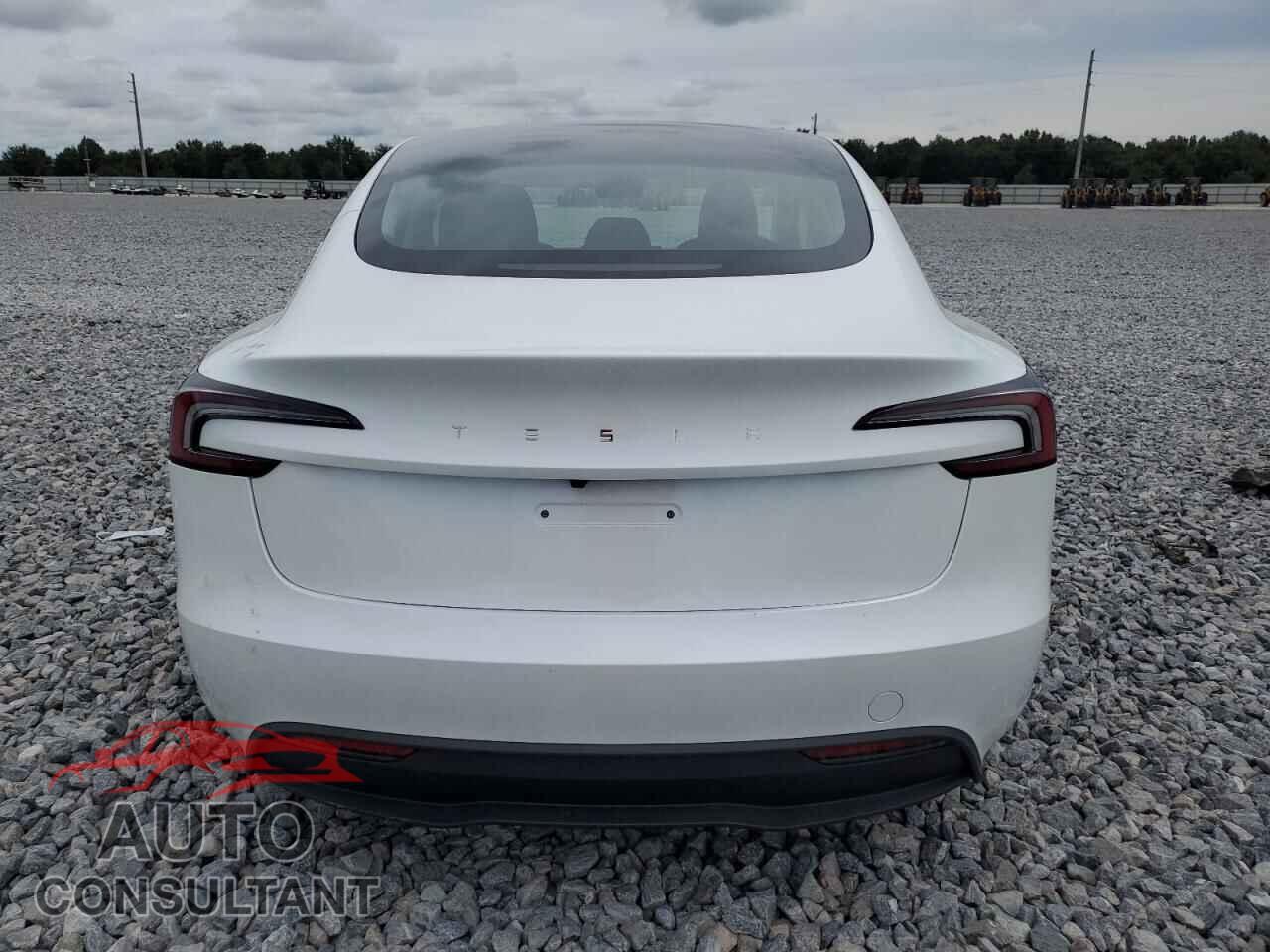 TESLA MODEL 3 2025 - 5YJ3E1EA6SF034101