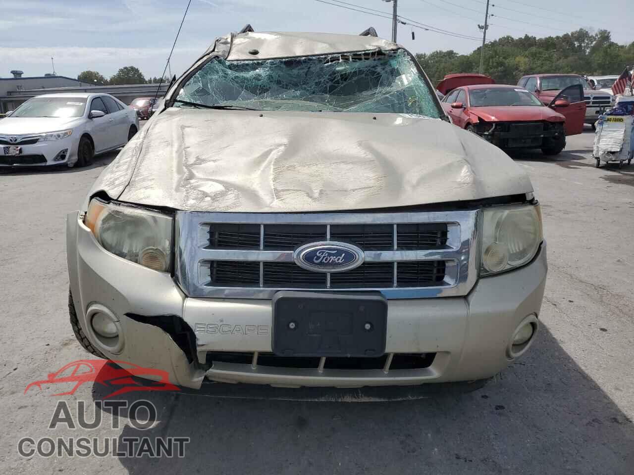 FORD ESCAPE 2010 - 1FMCU0D70AKD12796
