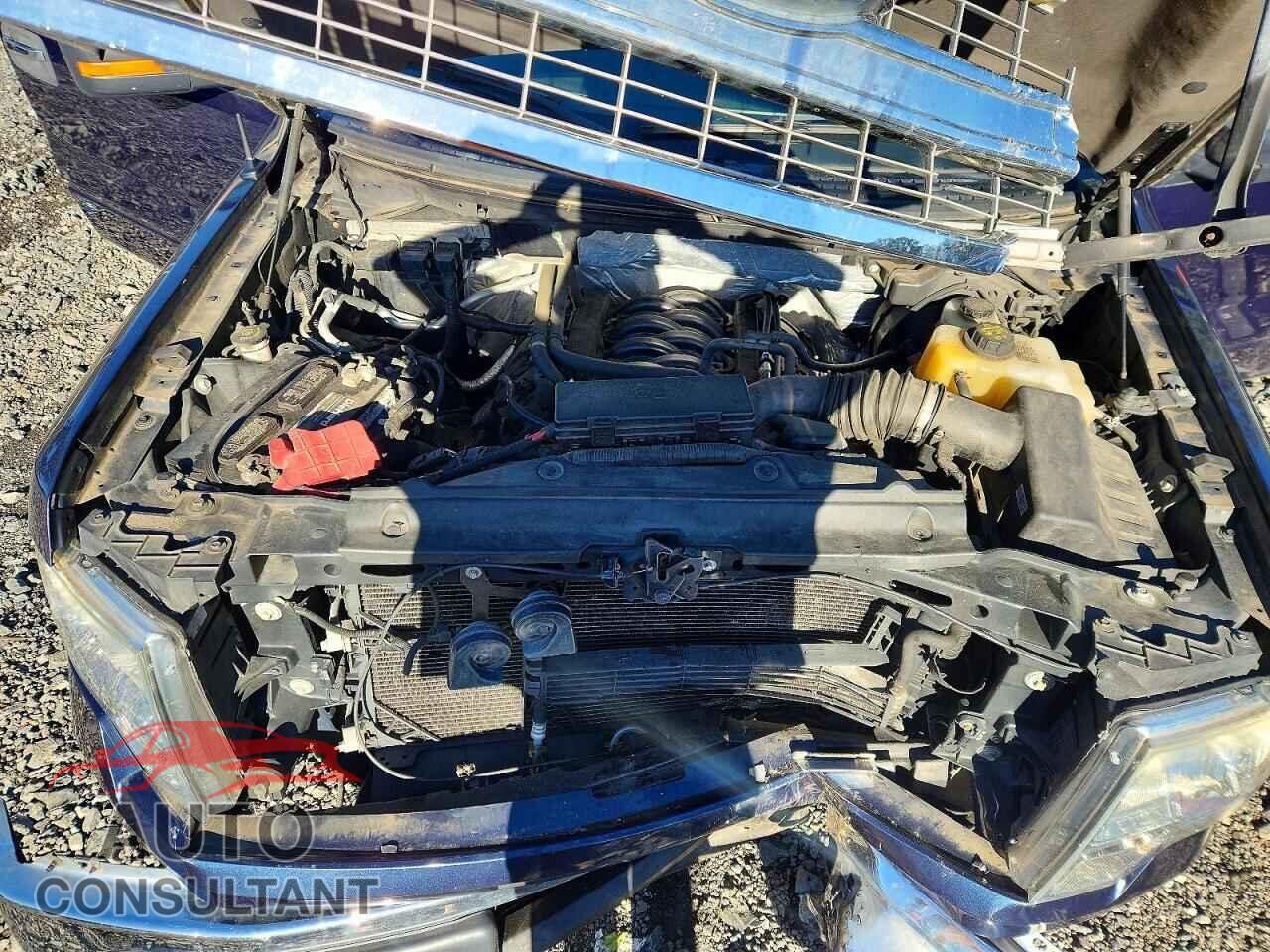 FORD F150 2013 - 1FTFW1EF1DFD29806