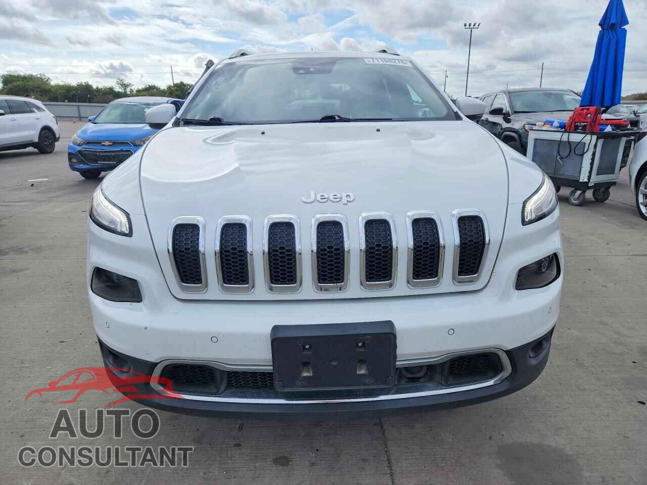 JEEP CHEROKEE 2016 - 1C4PJLDBXGW257599