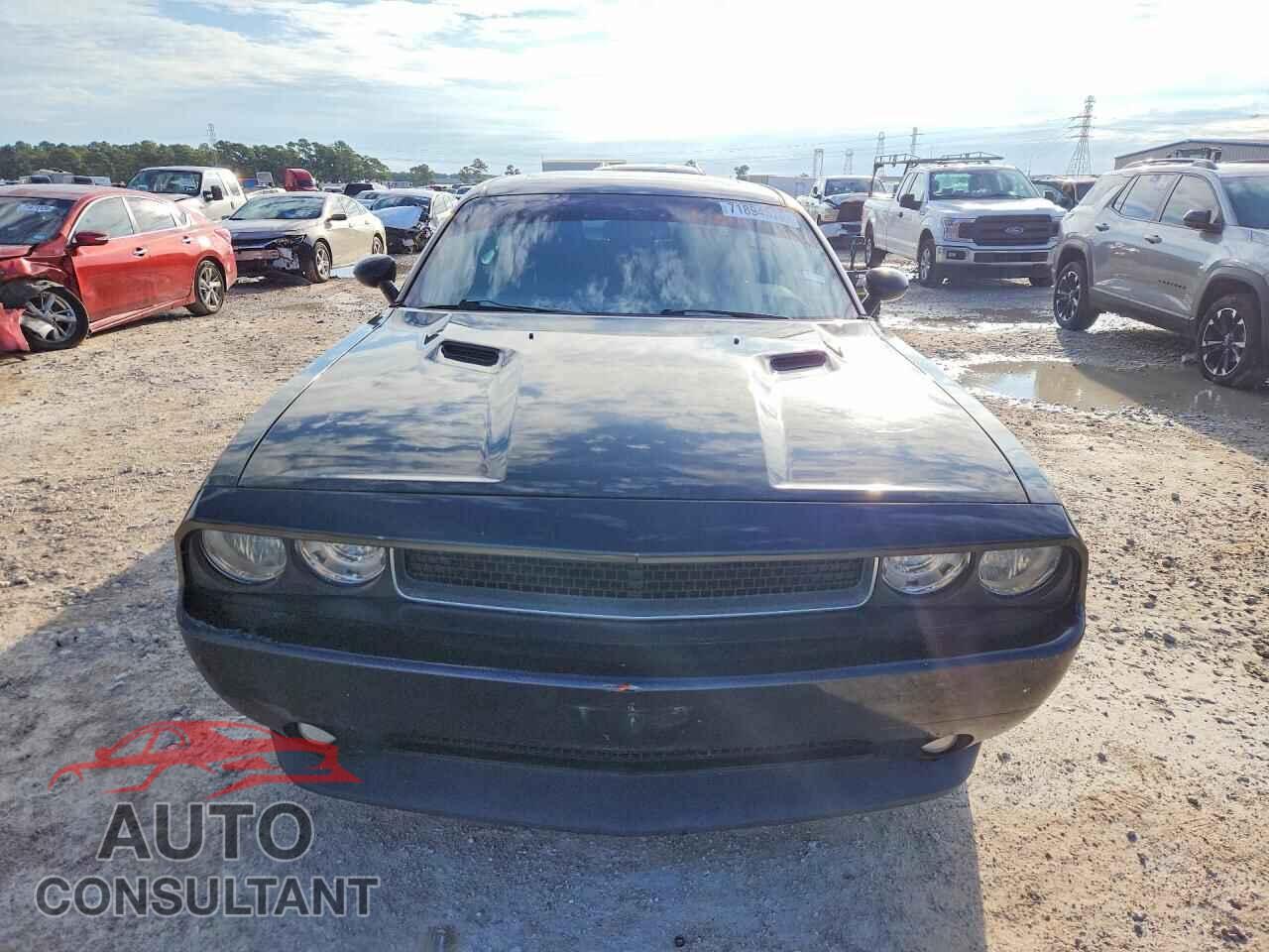 DODGE CHALLENGER 2013 - 2C3CDYAG7DH612245
