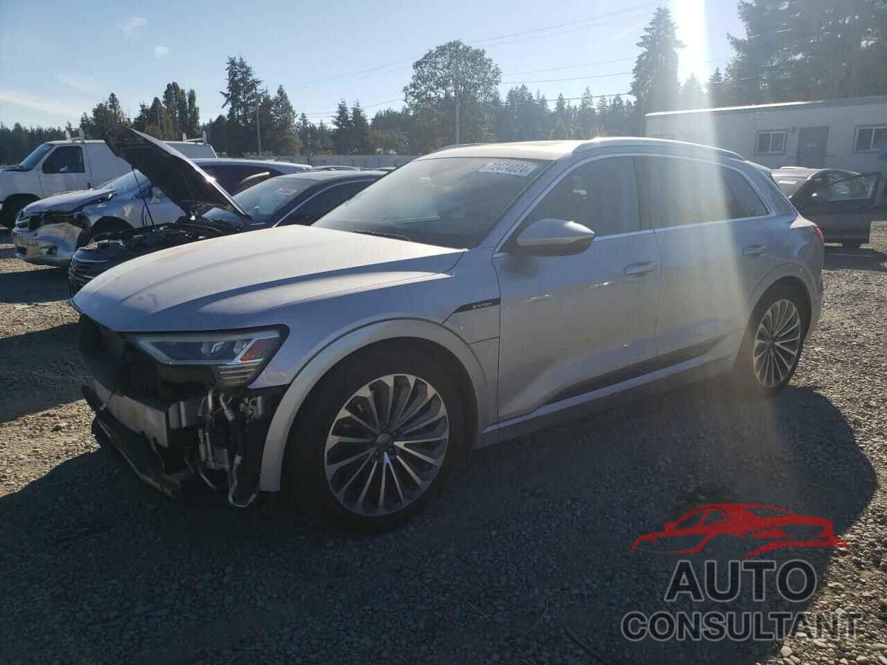 AUDI E-TRON 2019 - WA1VAAGE0KB021748