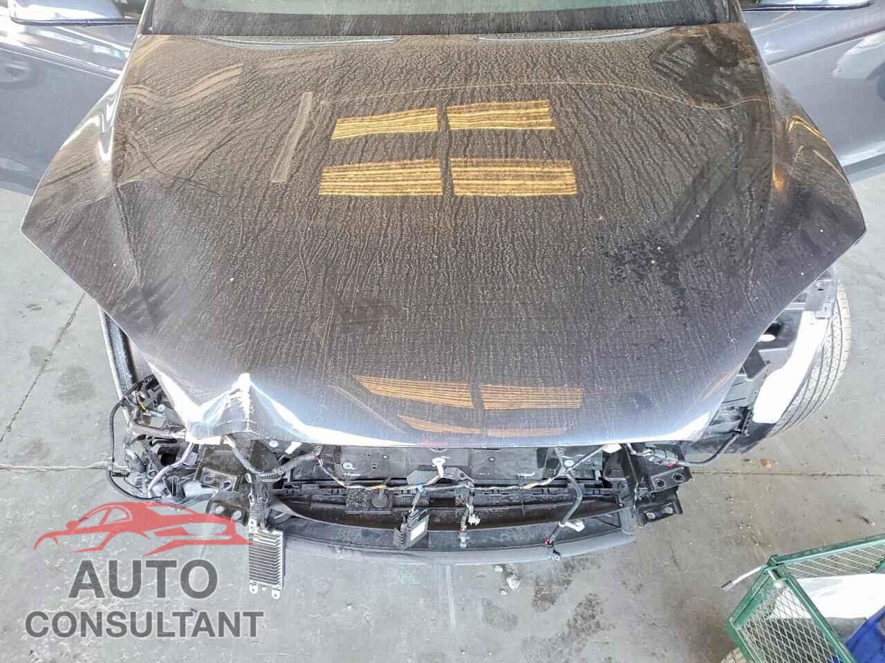 TESLA MODEL X 2024 - 7SAXCAE51RF433716