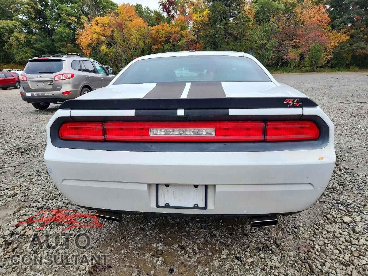 DODGE CHALLENGER 2012 - 2C3CDYBT5CH254282