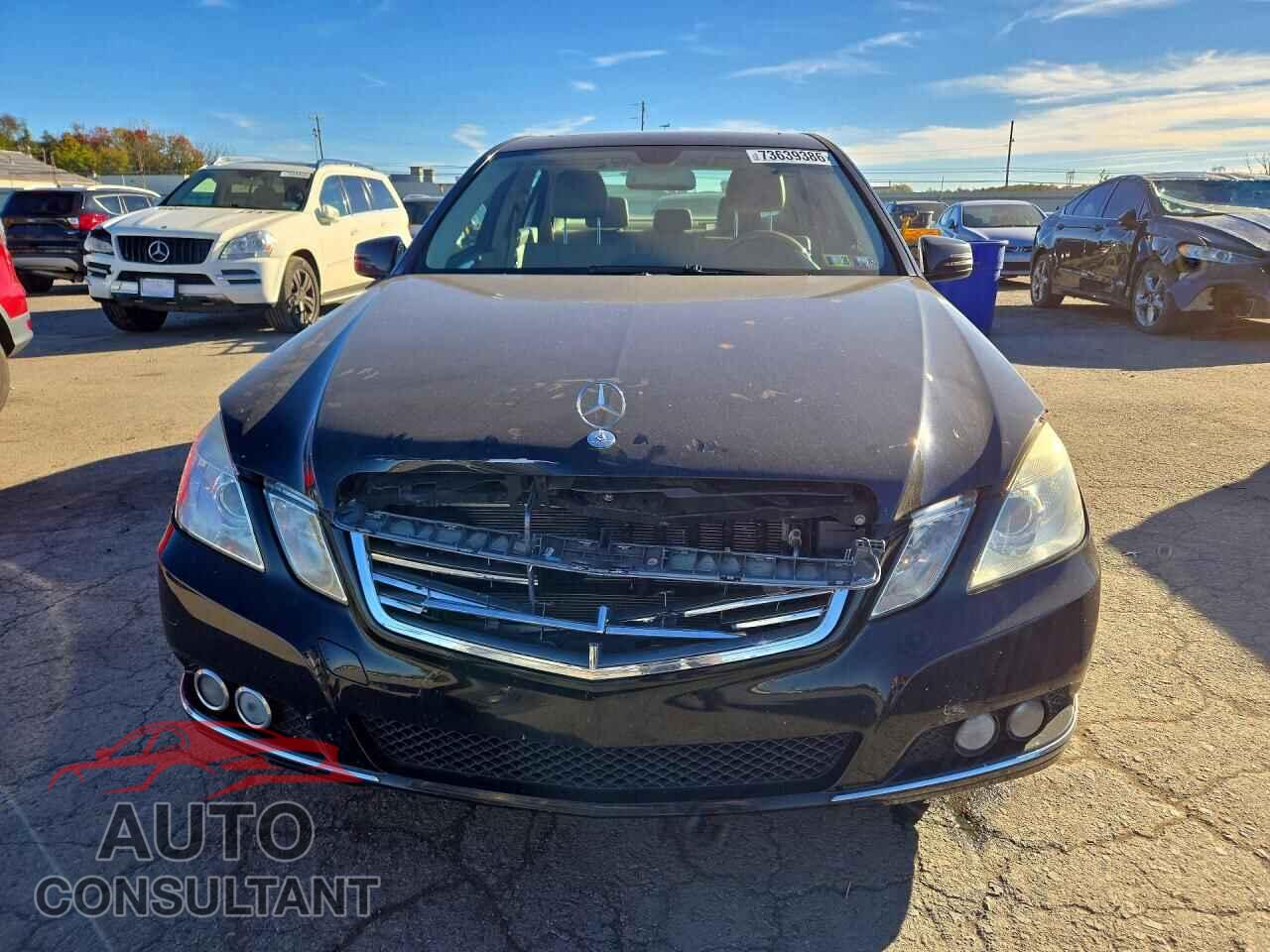 MERCEDES-BENZ E-CLASS 2010 - WDDHF8HB1AA239080