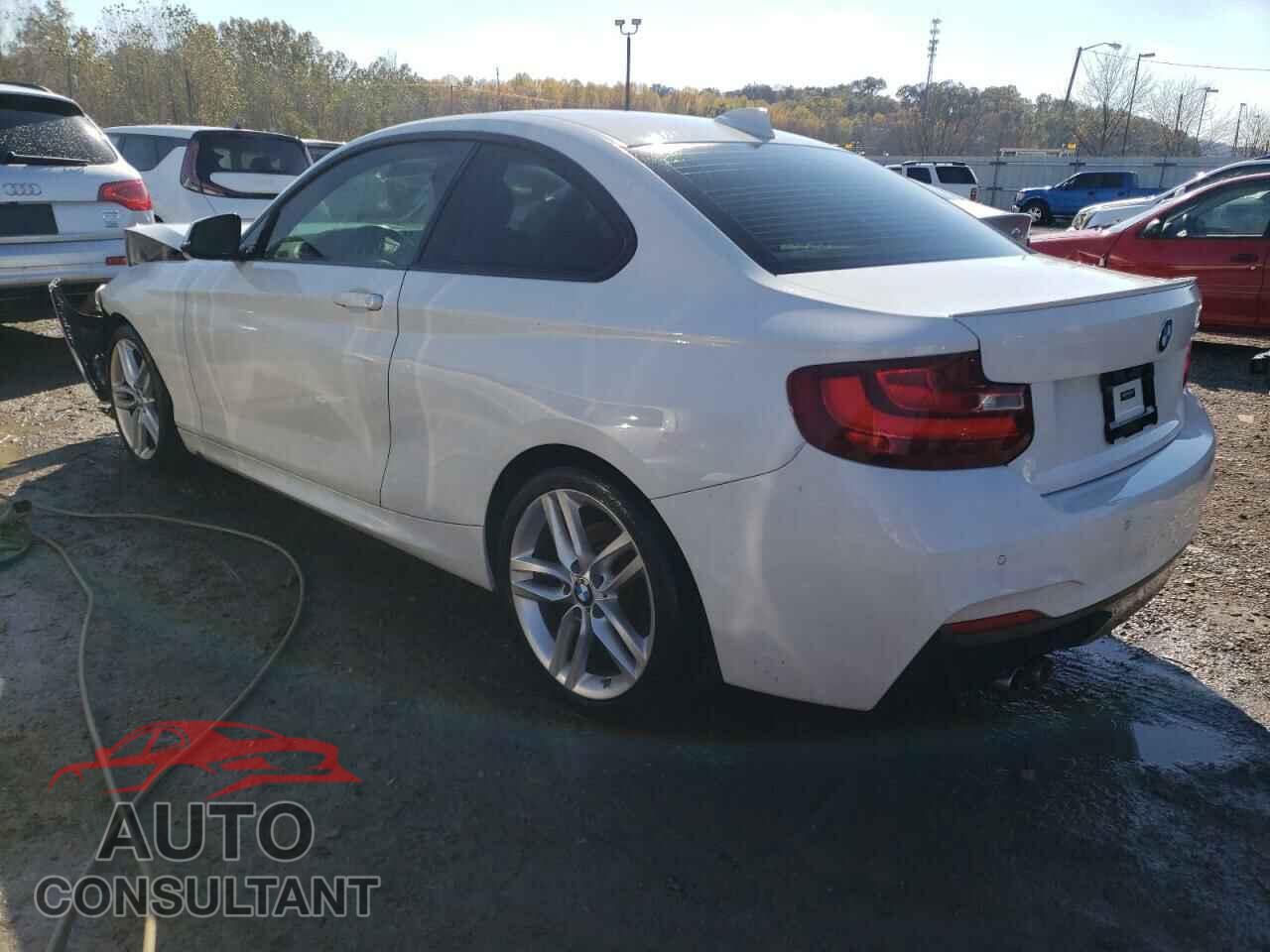 BMW 2 SERIES 2017 - WBA2F9C55HV664275