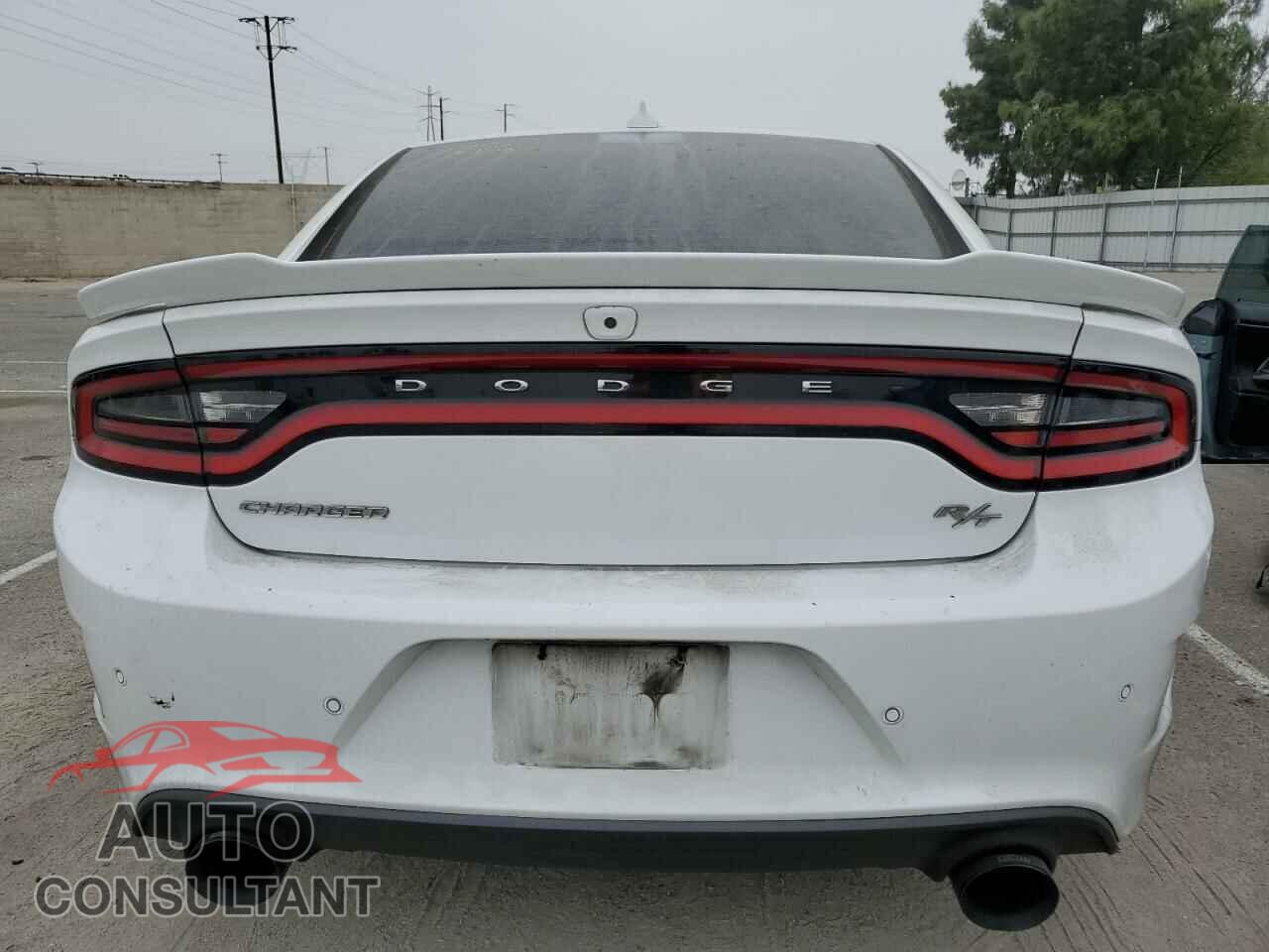 DODGE CHARGER 2019 - 2C3CDXCT8KH598194