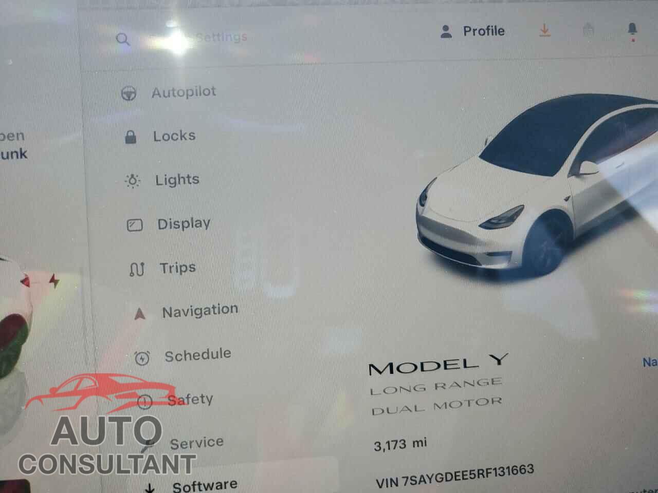 TESLA MODEL Y 2024 - 7SAYGDEE5RF131663