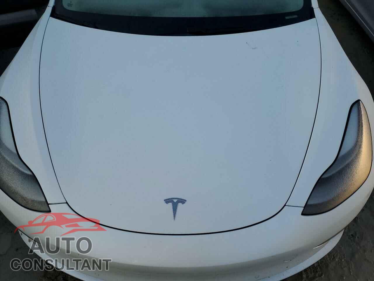 TESLA MODEL 3 2021 - 5YJ3E1EAXMF963629