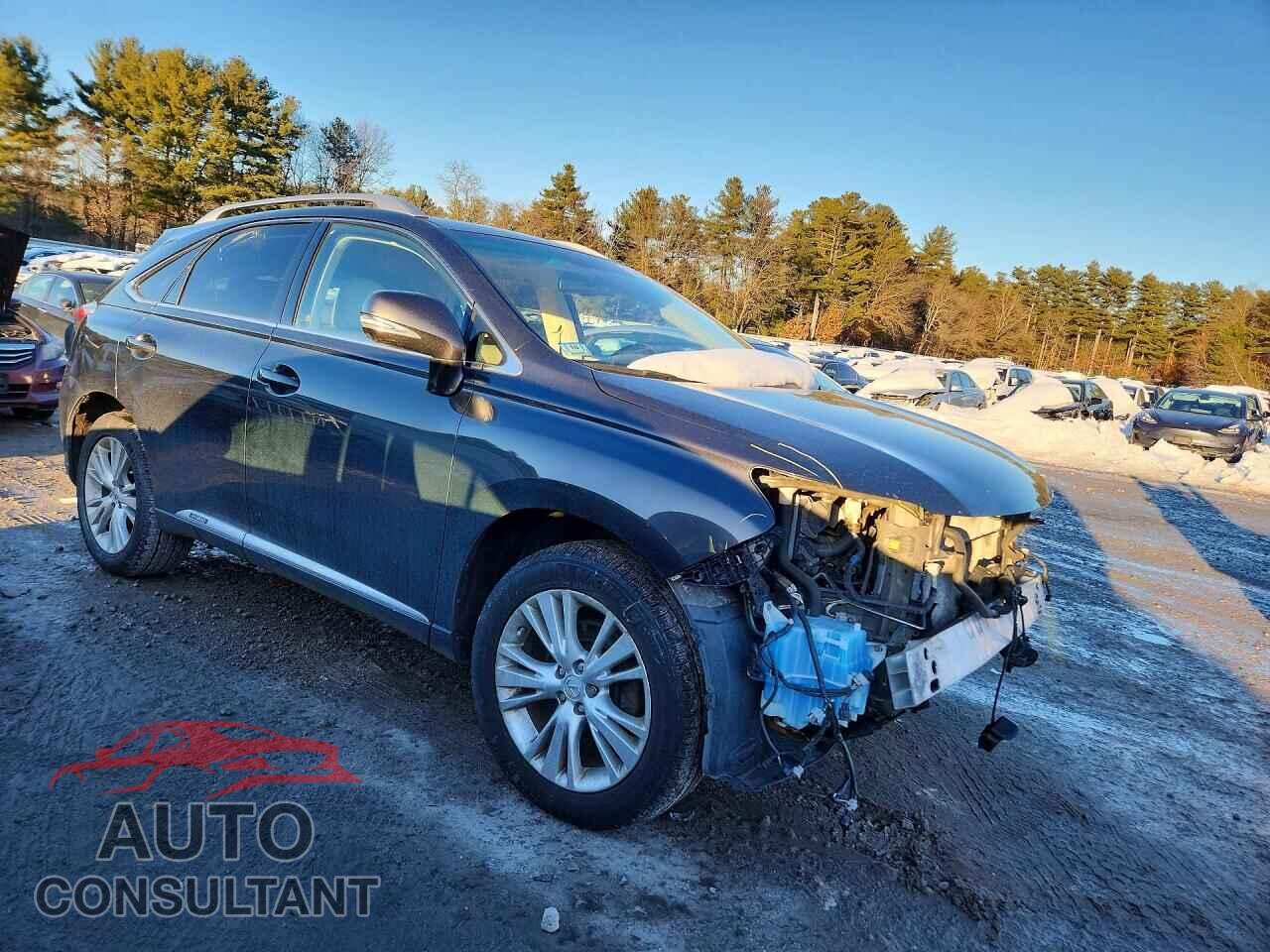 LEXUS RX450 2010 - JTJBC1BA3A2014456