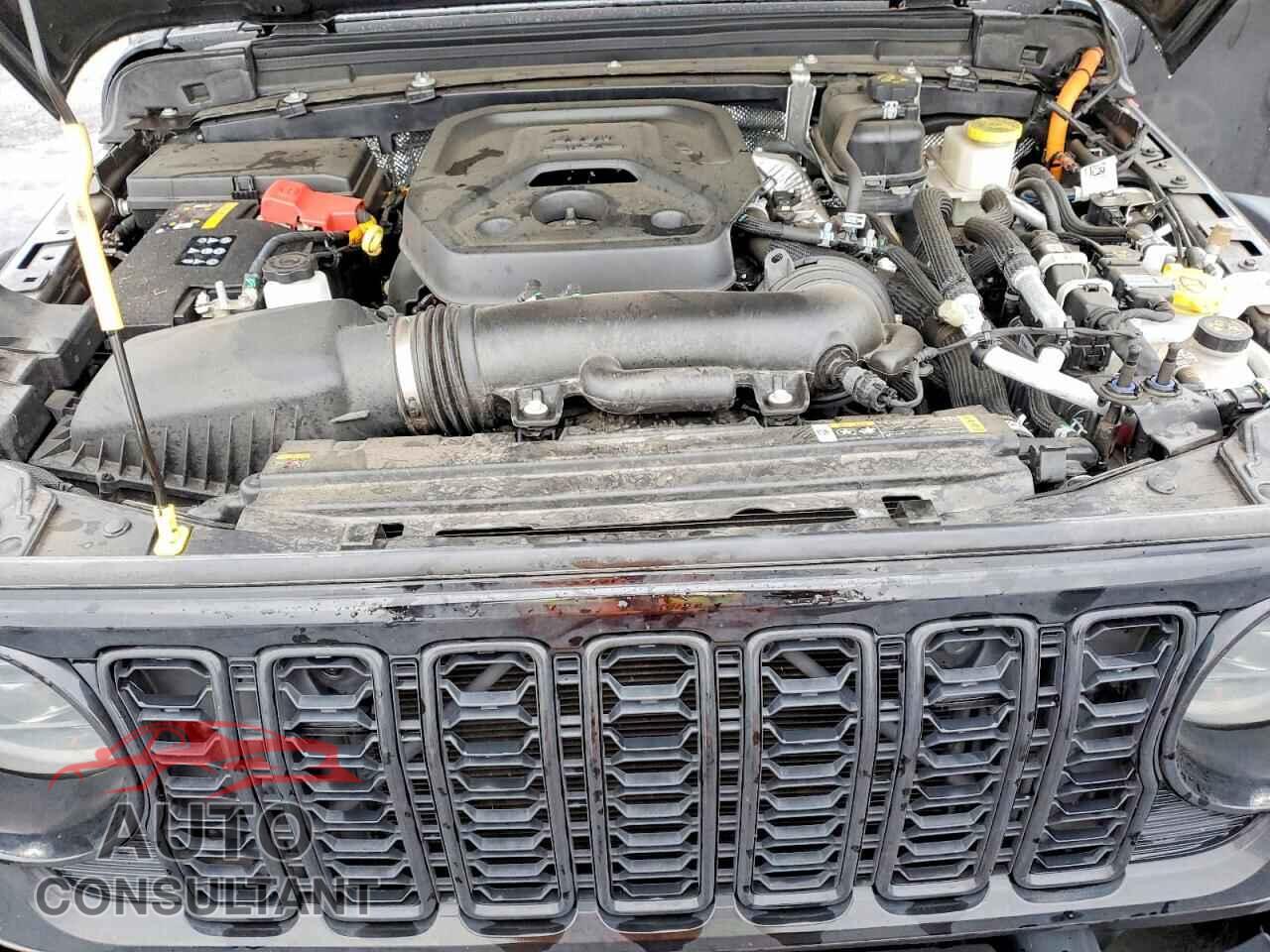JEEP WRANGLER 2024 - 1C4RJXN63RW167635