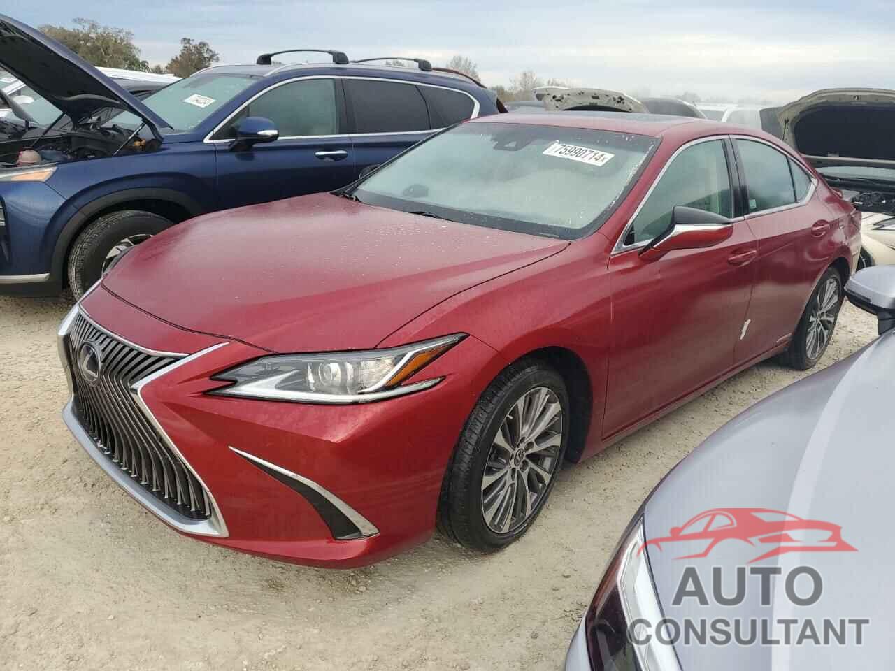 LEXUS ES300 2020 - 58AD21B10LU005367