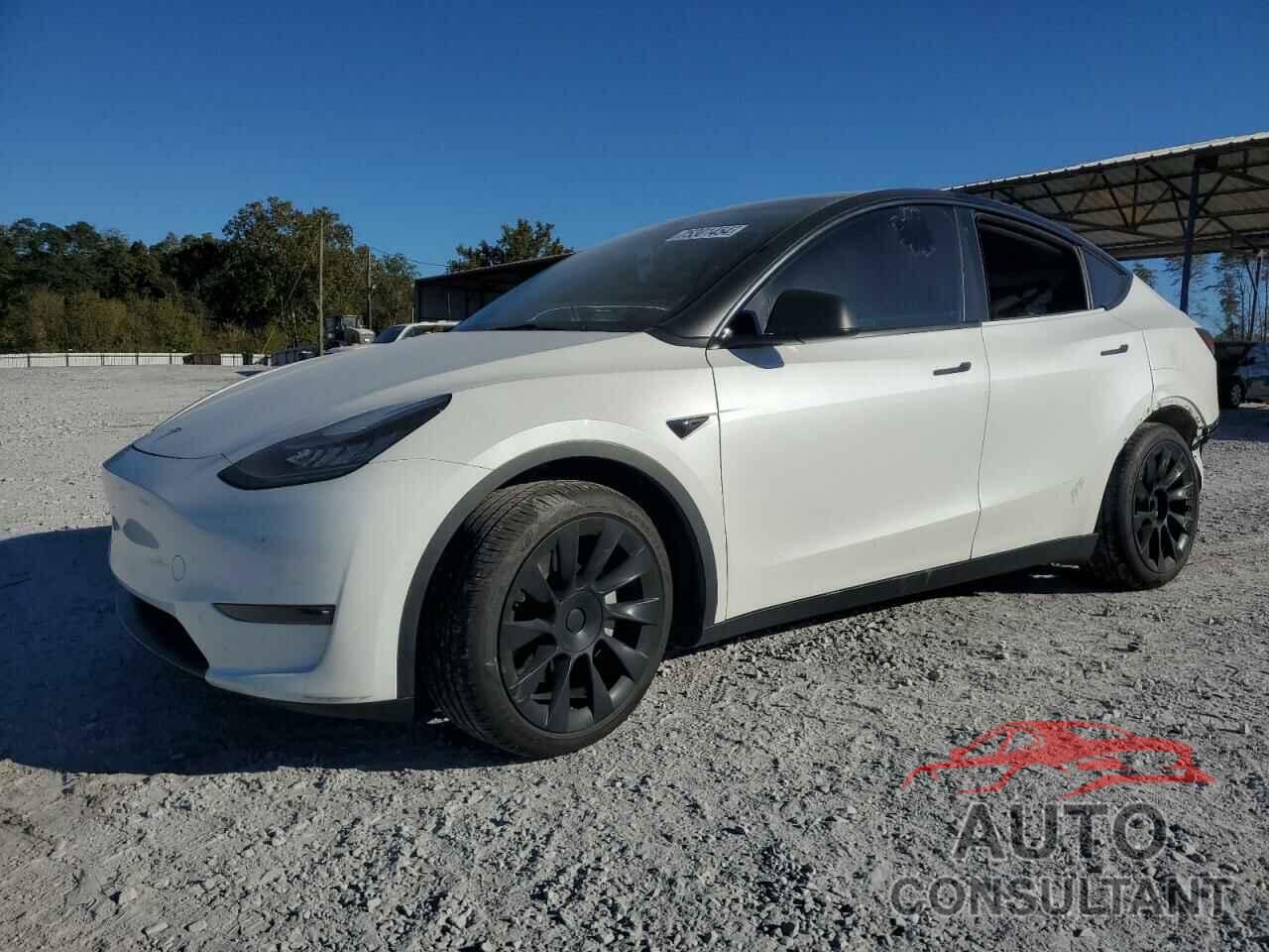 TESLA MODEL Y 2021 - 5YJYGDEE3MF193889