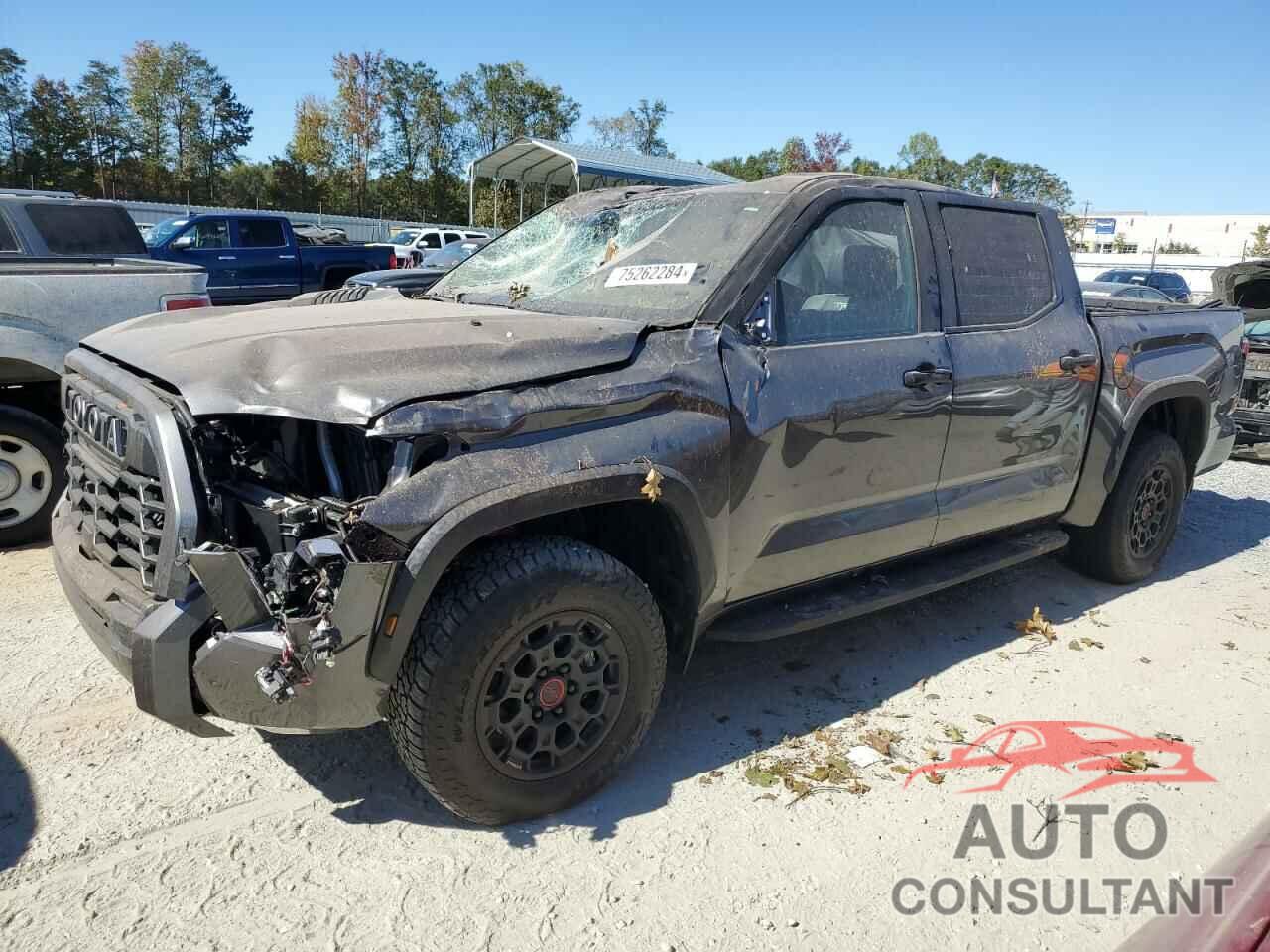 TOYOTA TUNDRA 2024 - 5TFPC5DB1RX081464