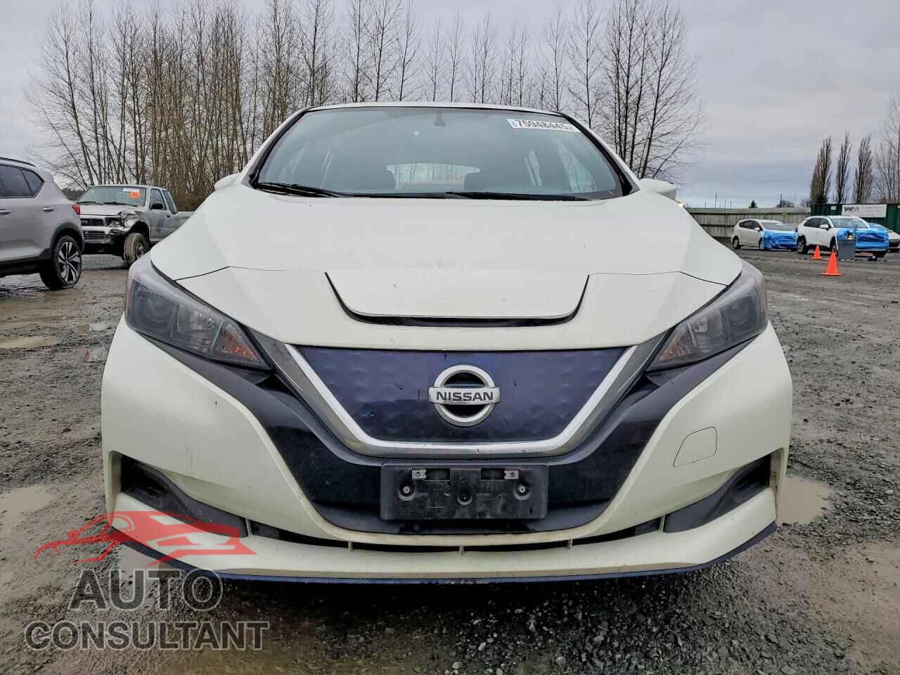 NISSAN LEAF 2019 - 1N4BZ1CP9KC313715
