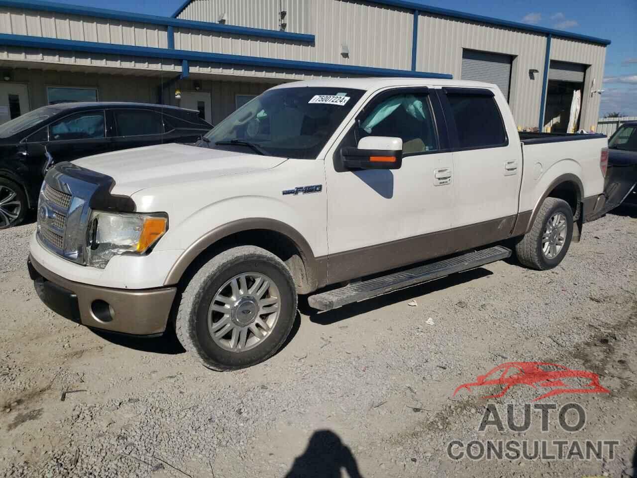 FORD F-150 2011 - 1FTFW1CFXBFA03633