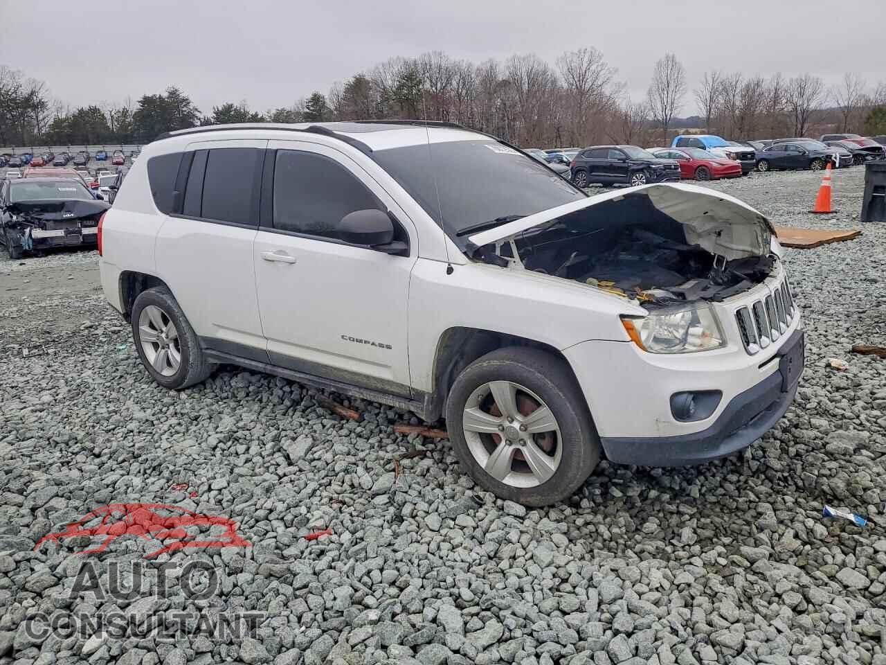 JEEP COMPASS 2011 - 1J4NT1FB9BD203857