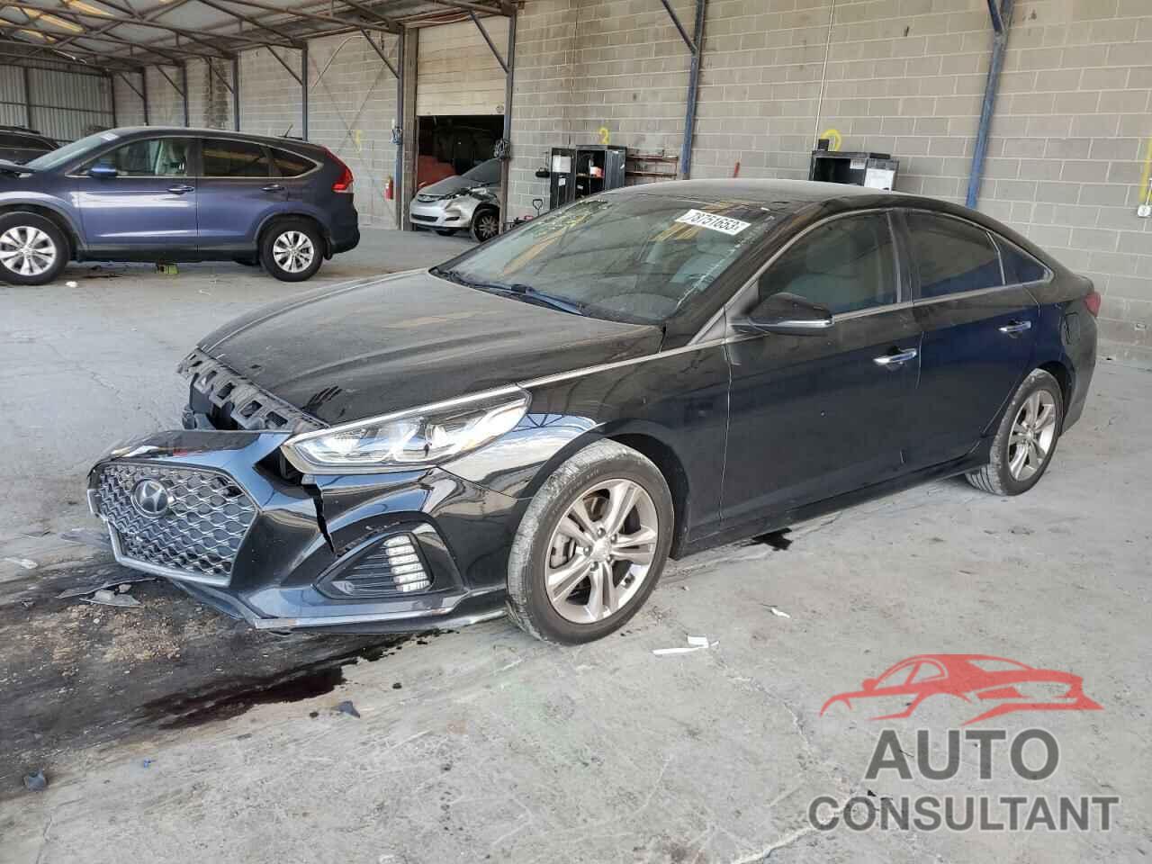 HYUNDAI SONATA 2019 - 5NPE34AF8KH795361