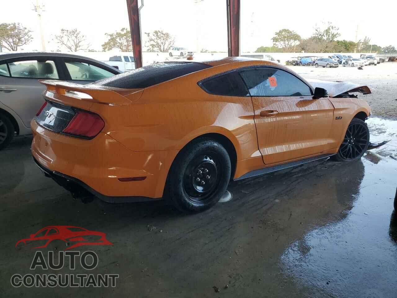 FORD MUSTANG 2019 - 1FA6P8CF3K5167355