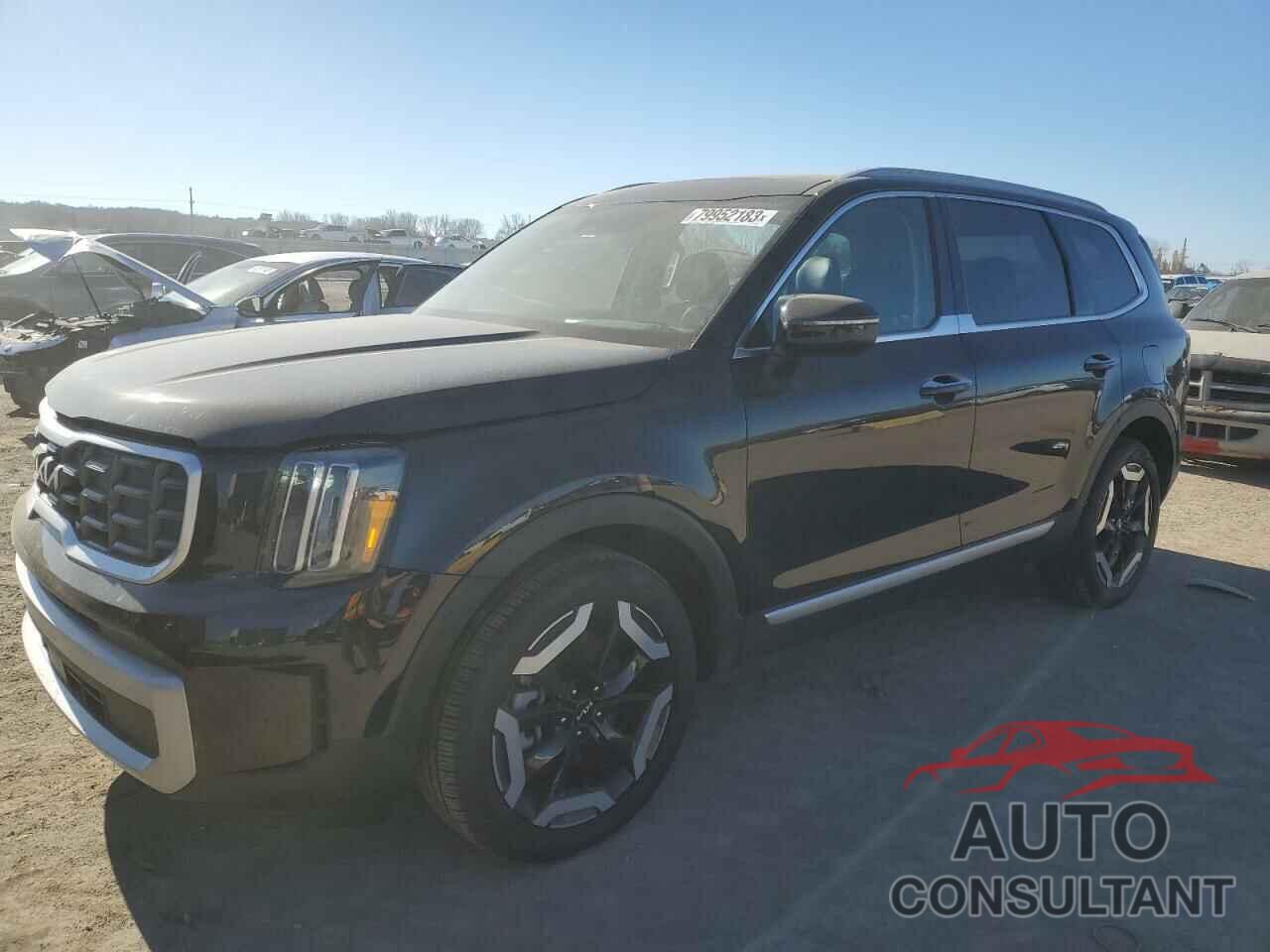 KIA TELLURIDE 2024 - 5XYP6DGC9RG414910