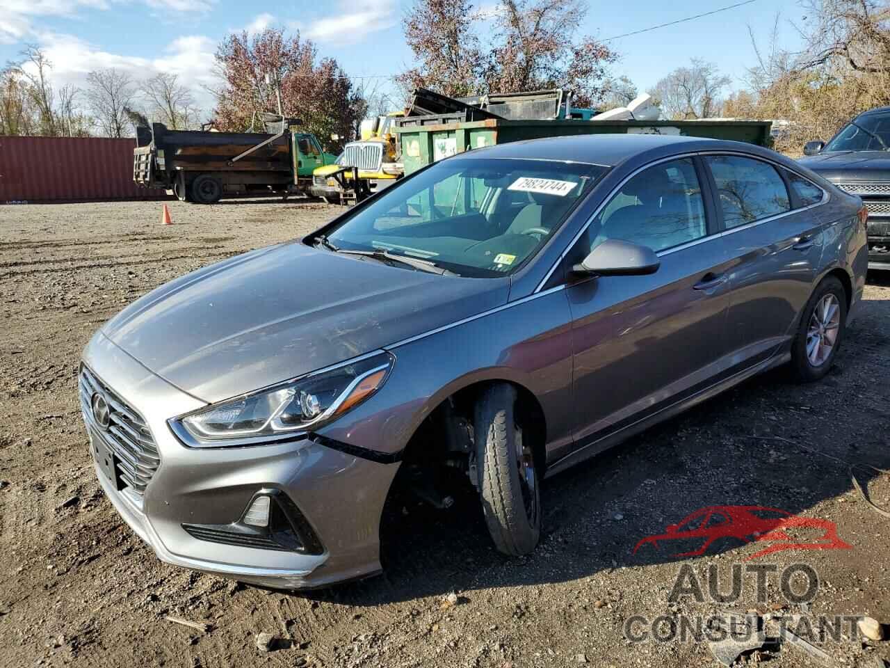 HYUNDAI SONATA 2019 - 5NPE24AF8KH733073