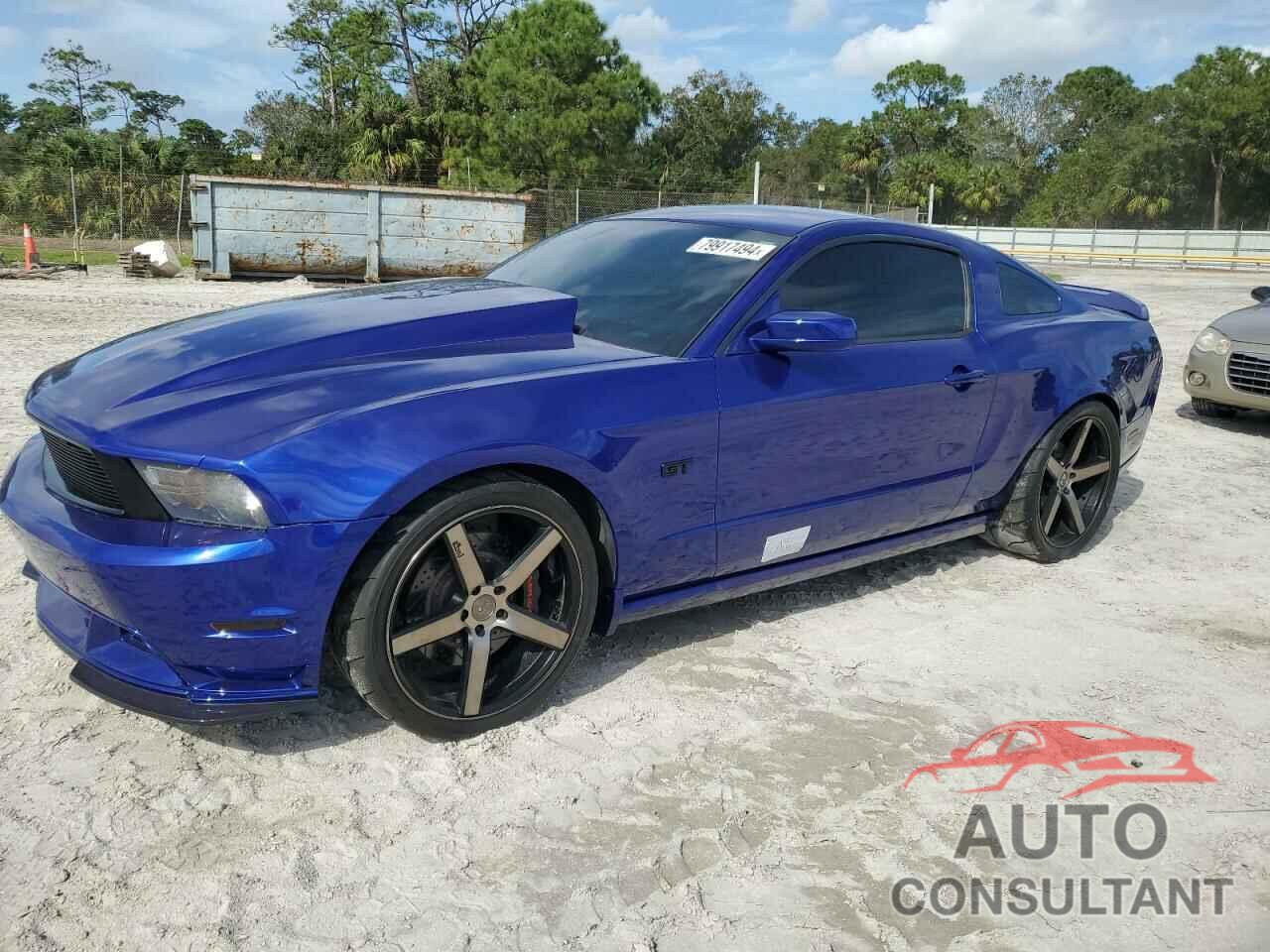 FORD MUSTANG 2010 - 1ZVHP8CH7A5126243