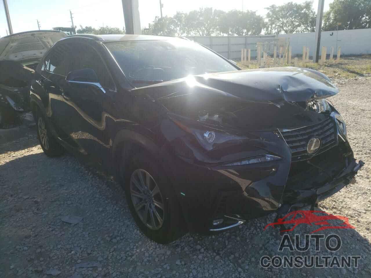 LEXUS NX 2020 - JTJDARBZ8L2173981