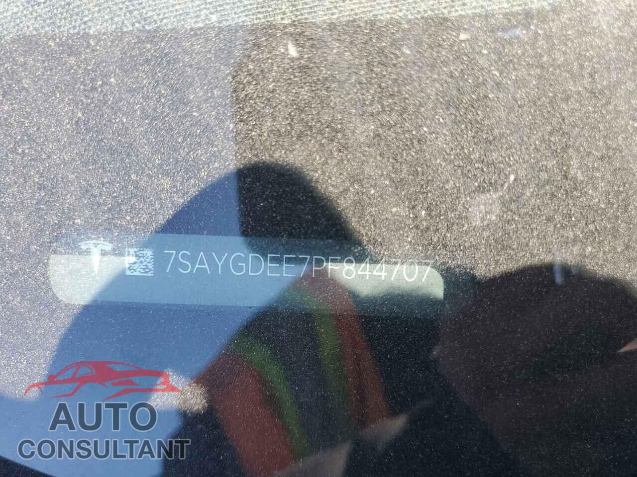 TESLA MODEL Y 2023 - 7SAYGDEE7PF844707
